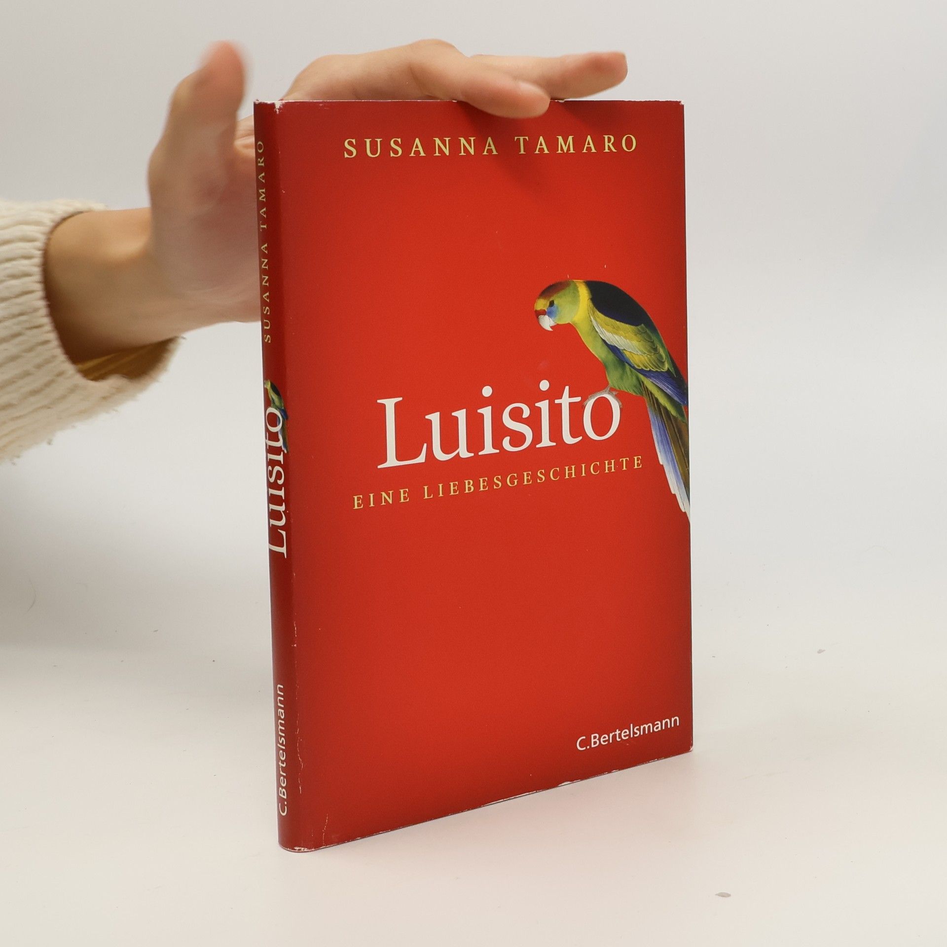 Susanna Tamaro Luisito