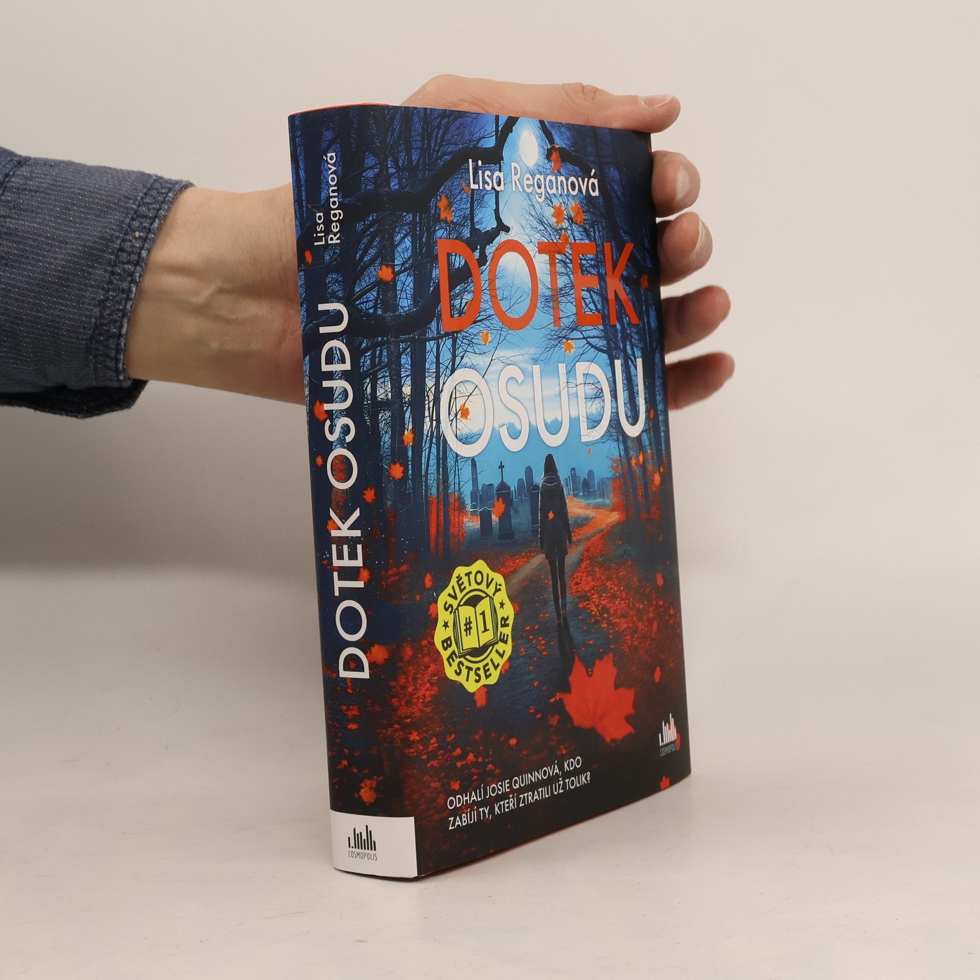 Lisa Regan Dotek osudu