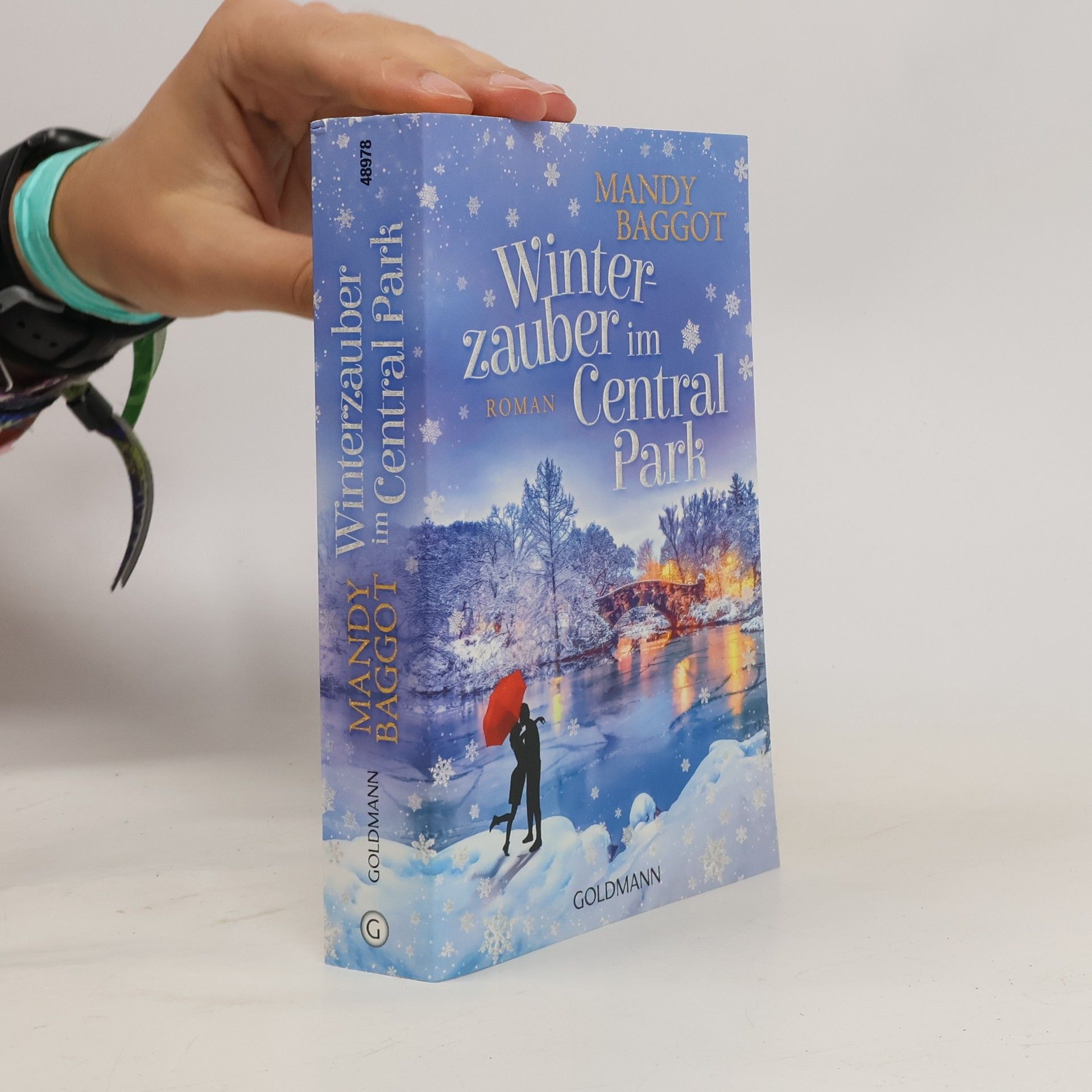 Mandy Baggot Winterzauber im Central Park
