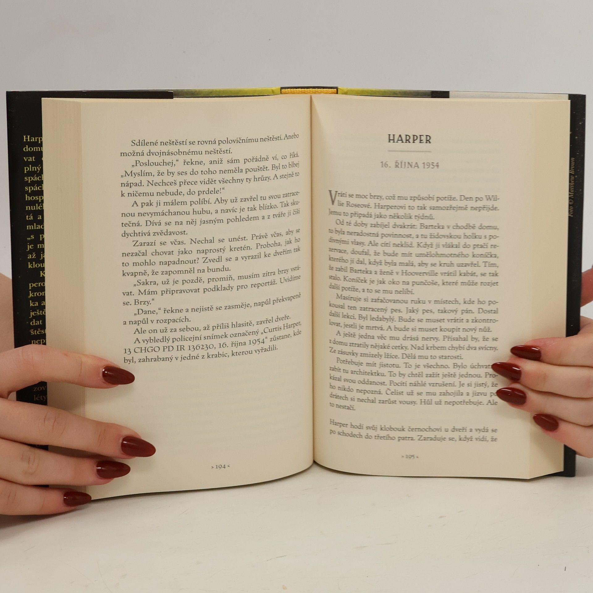 Lauren Beukes Dívka, která se třpytila