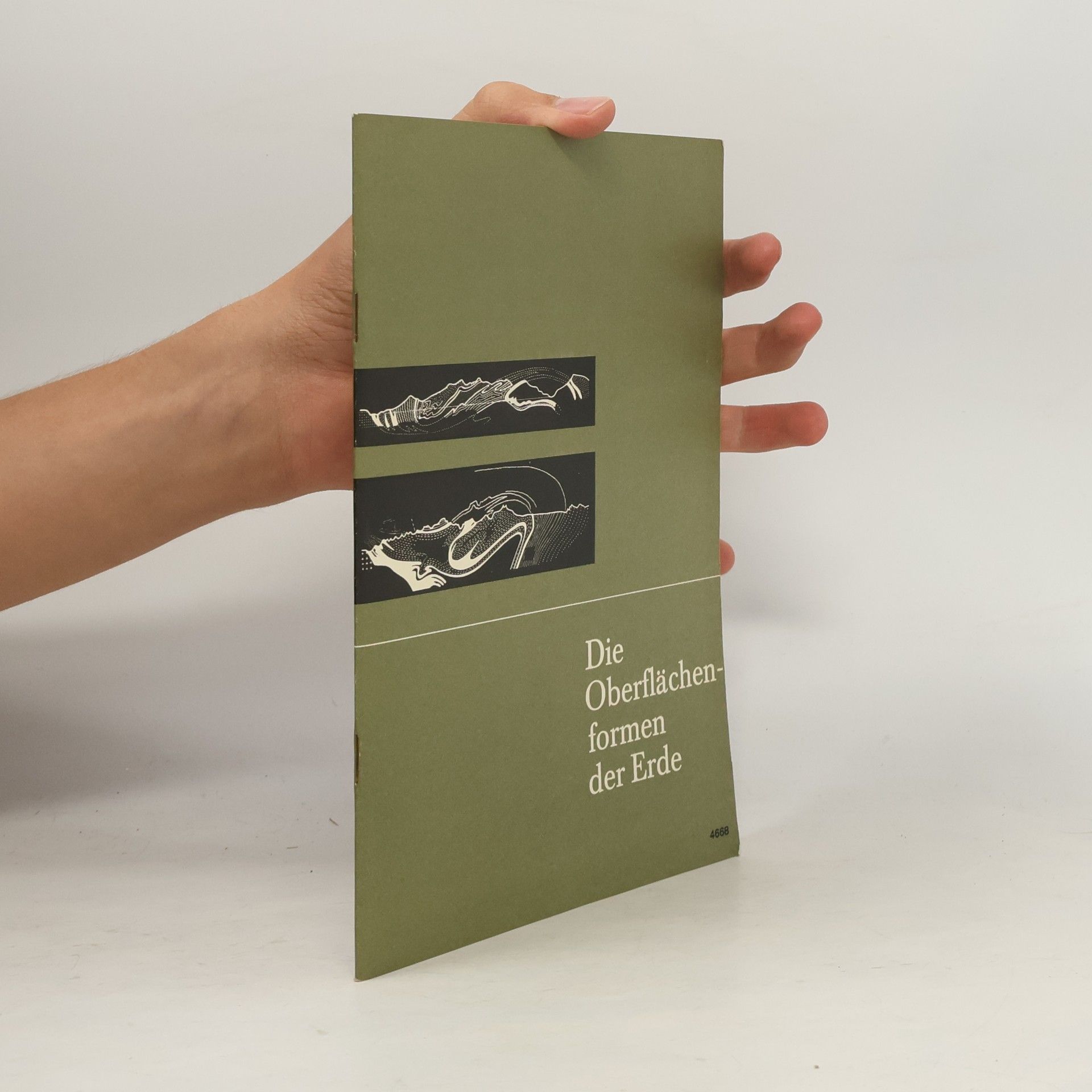 Collectif d'auteurs Die Oberflächenformen der Erde