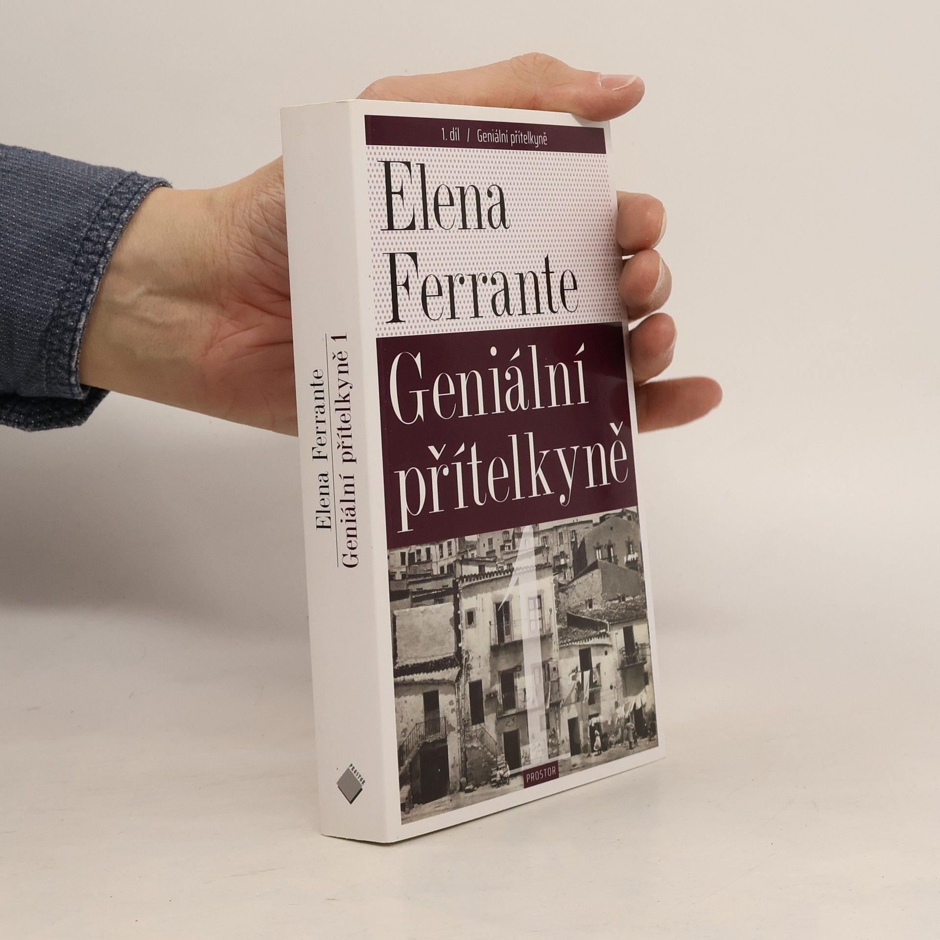 Elena Ferrante Geniální přítelkyně 1. Dětství a dospívání
