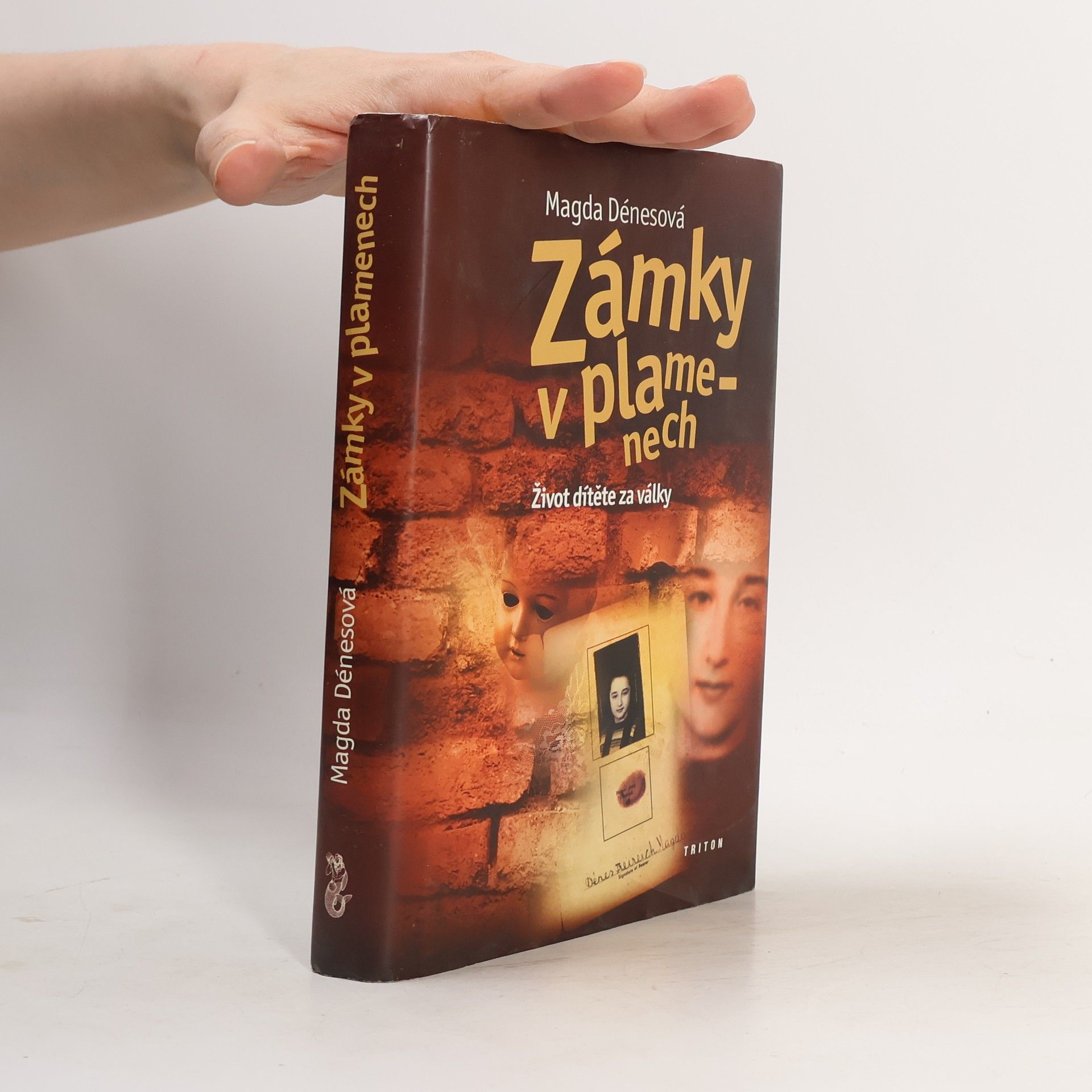 Magda Dénes Zámky v plamenech : život dítěte za války