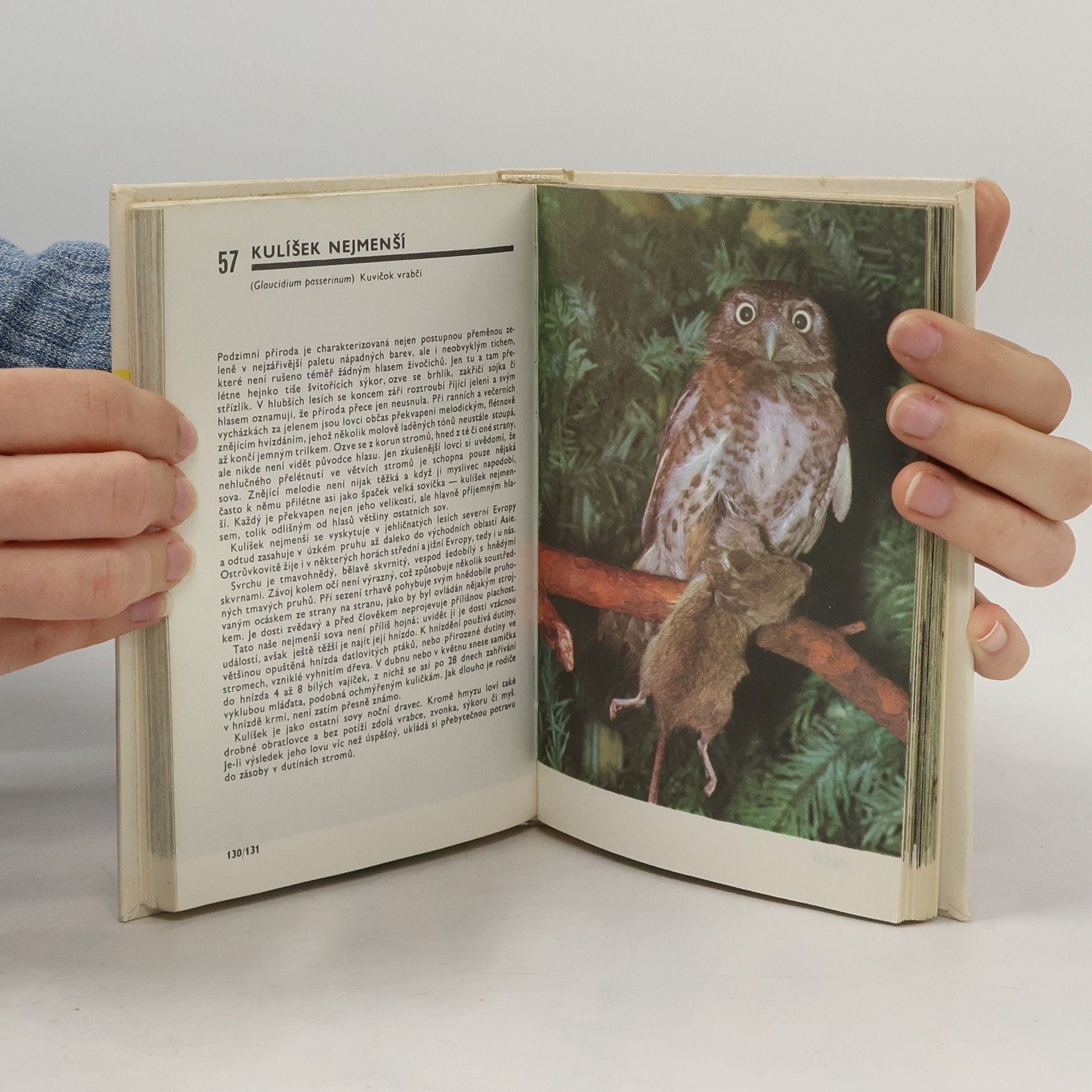 Miroslav Bouchner Kapesní atlas ptáků