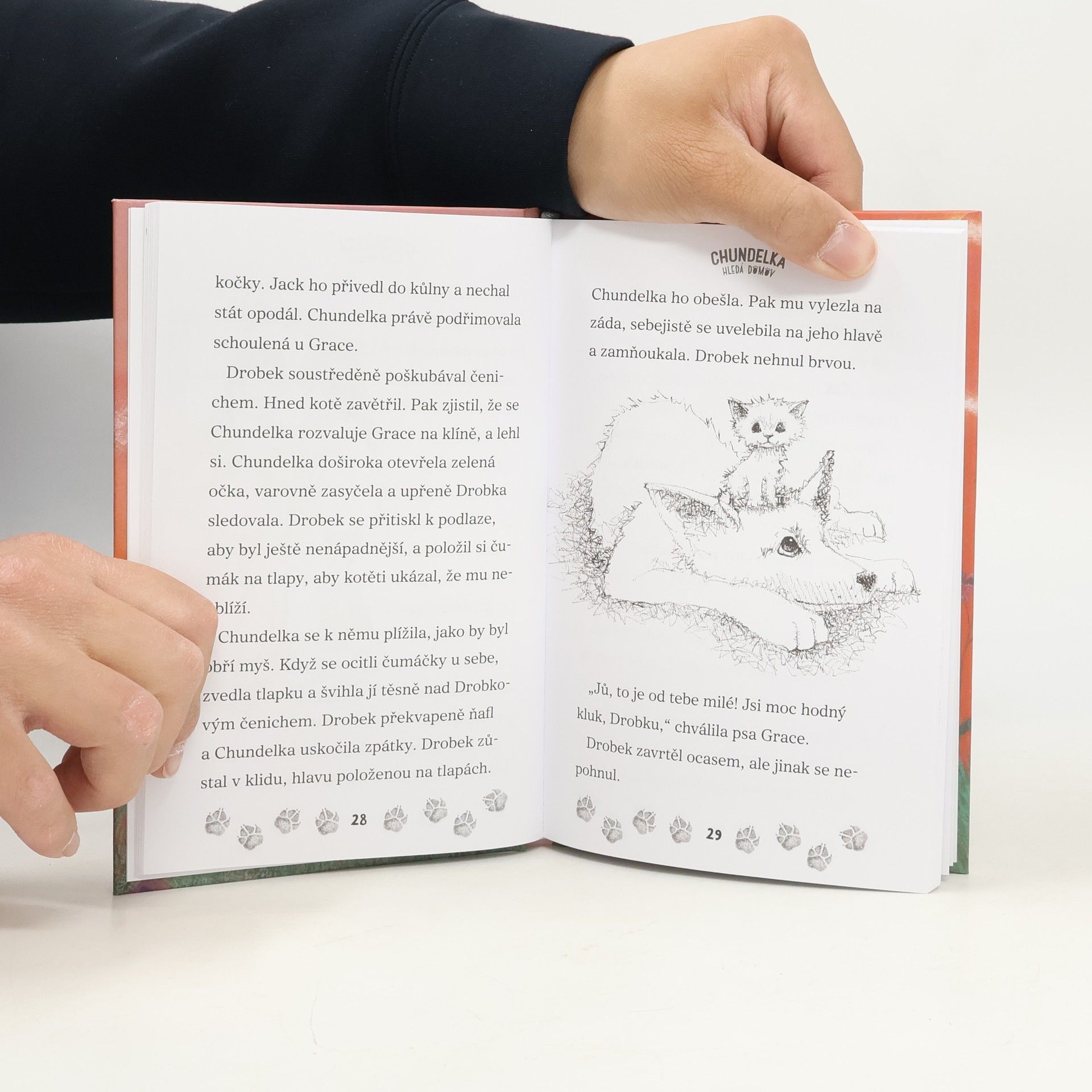 Květa Palowská Chundelka hledá domov