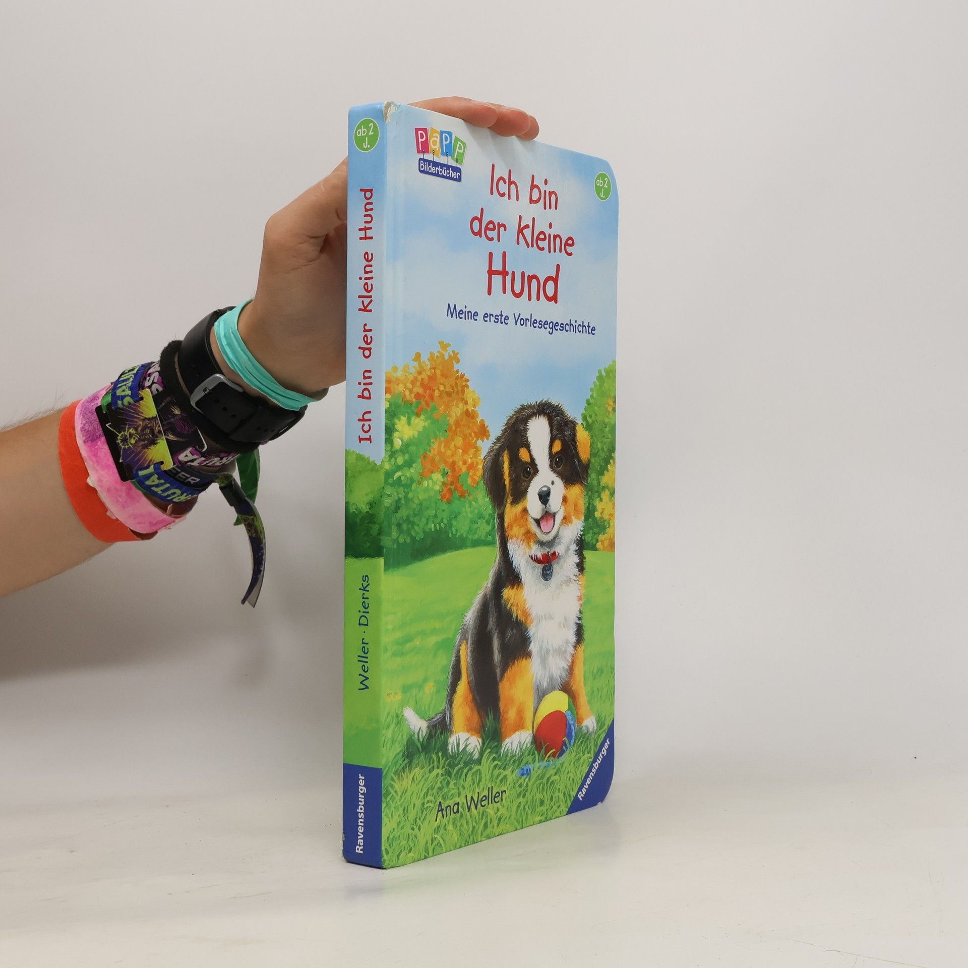 Ana Weller Ich bin der kleine Hund