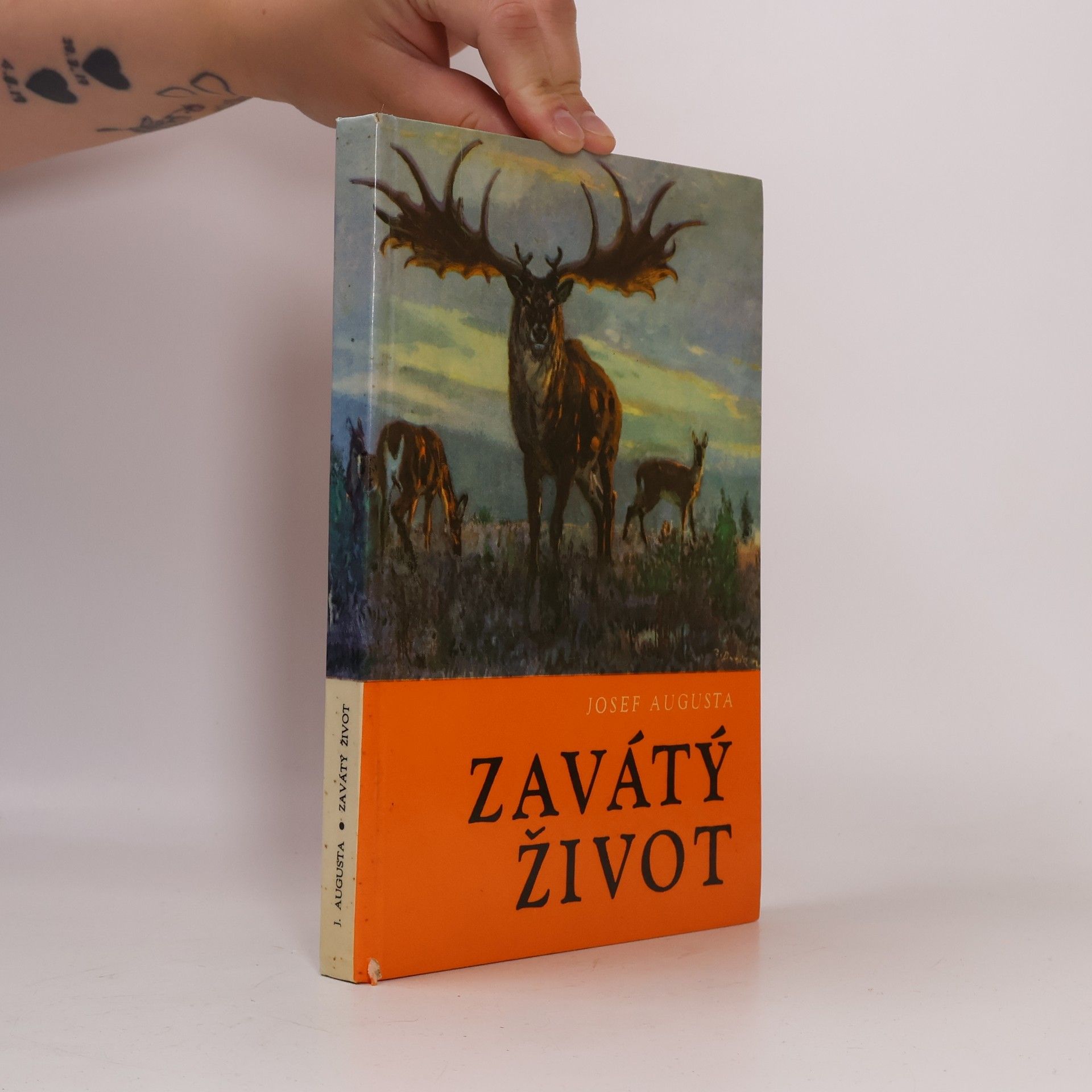 Josef Augusta Zavátý život