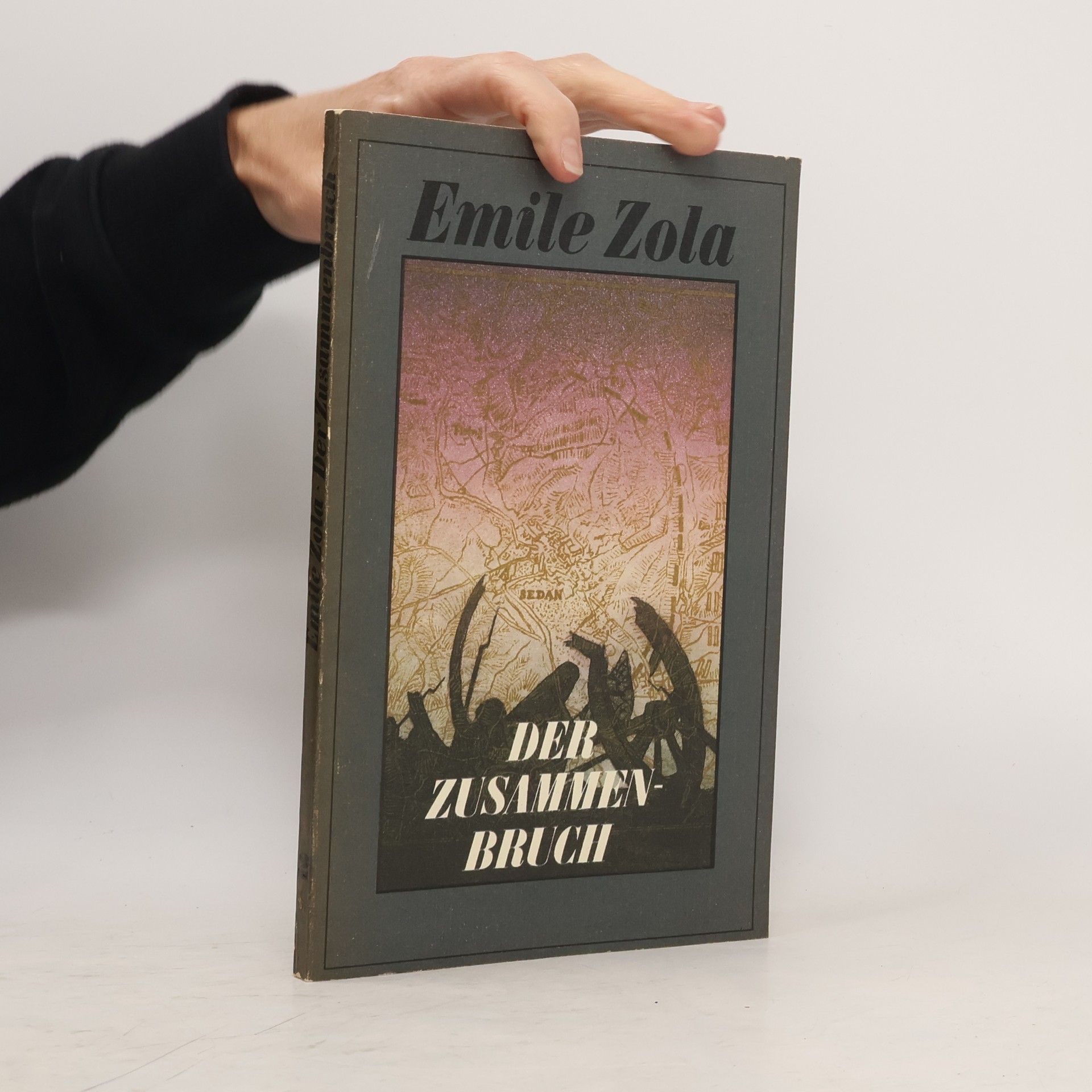 Émile Zola Der Zusammenbruch 2