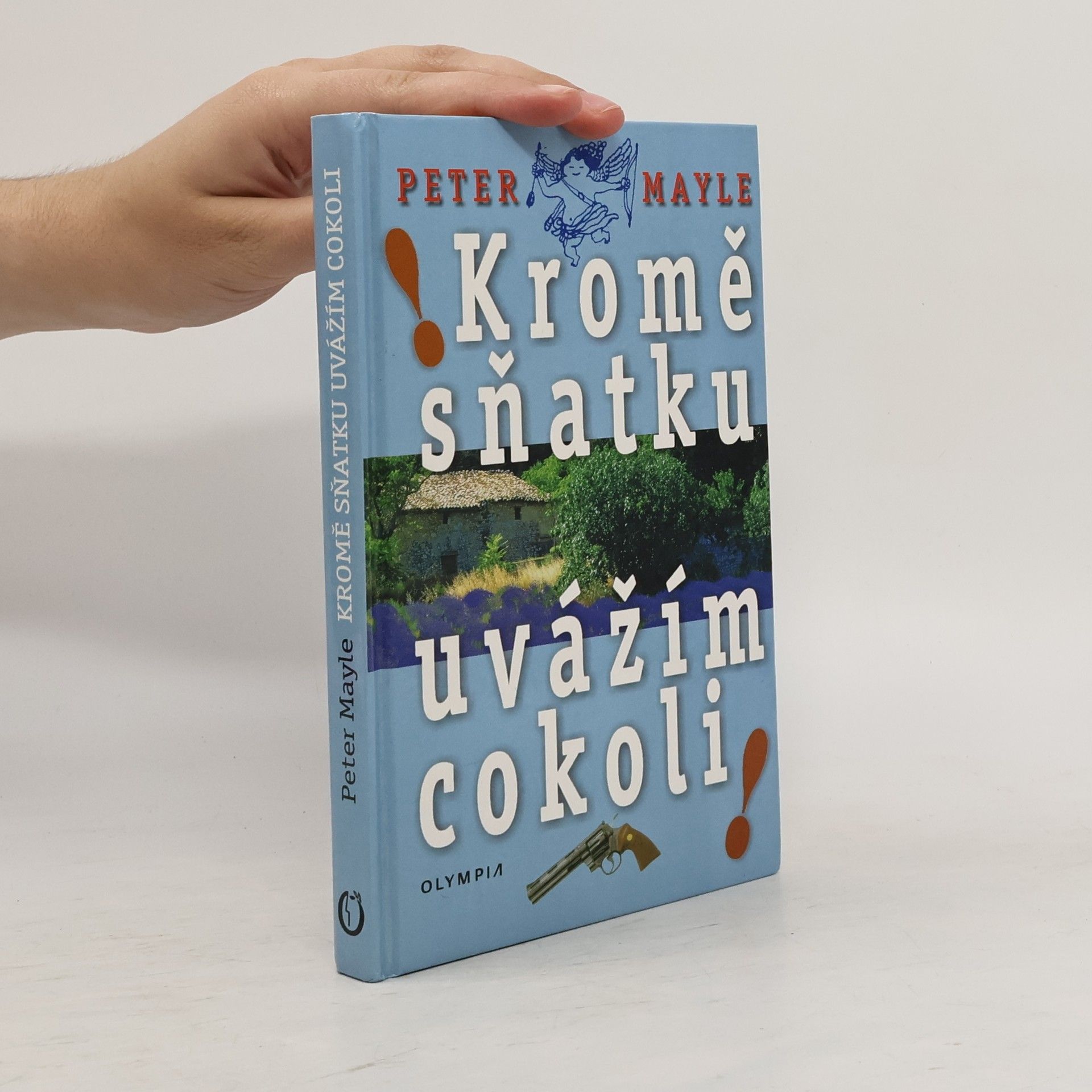 Peter Mayle Kromě sňatku uvážím cokoli!