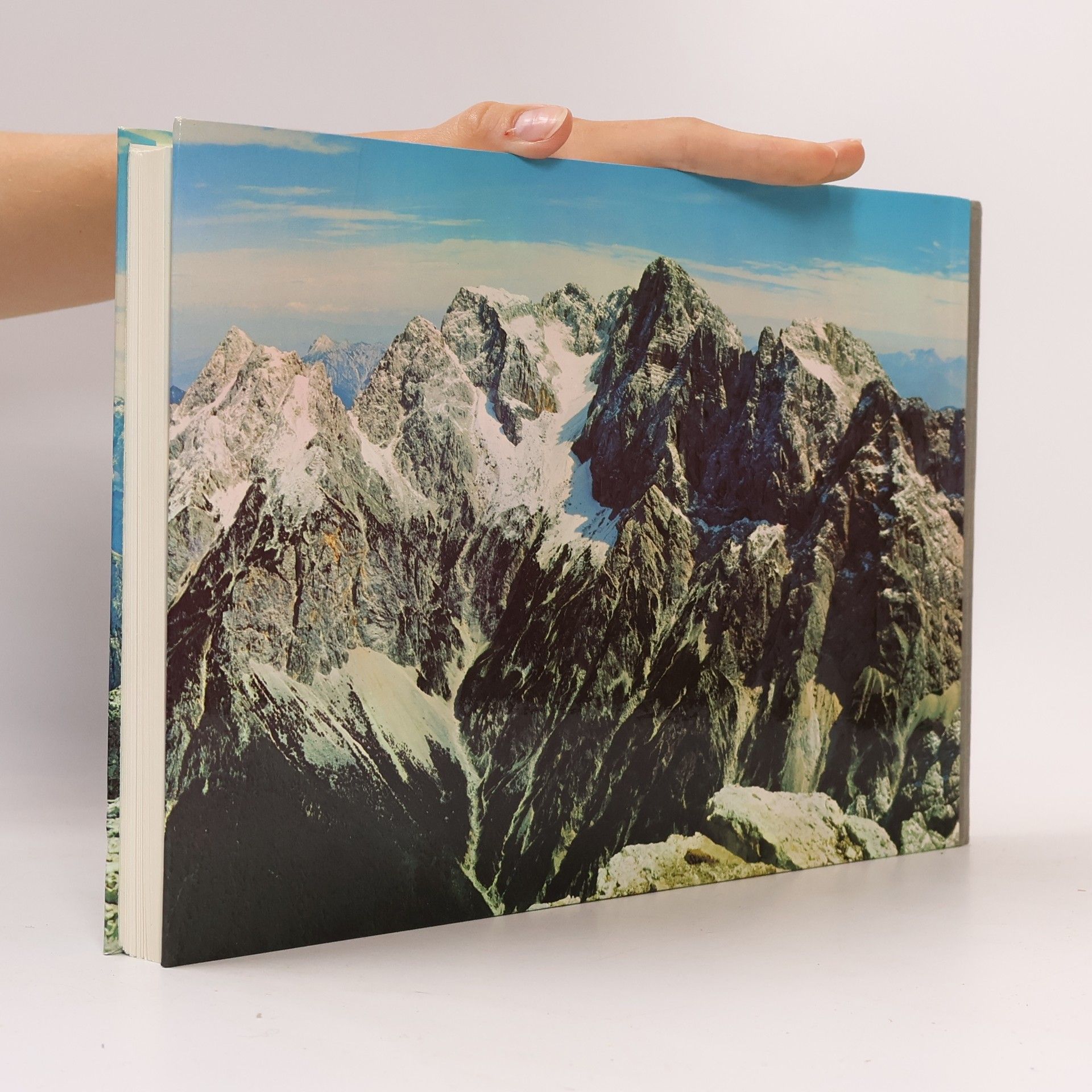 Rudolf Rother Das Panorama der Alpen