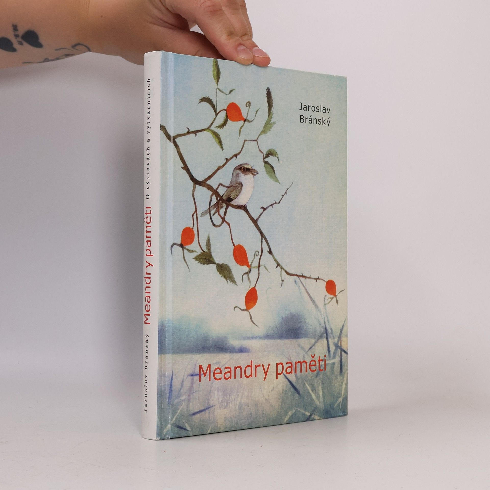 Jaroslav Bránský Meandry paměti. O výstavách a výtvarnících