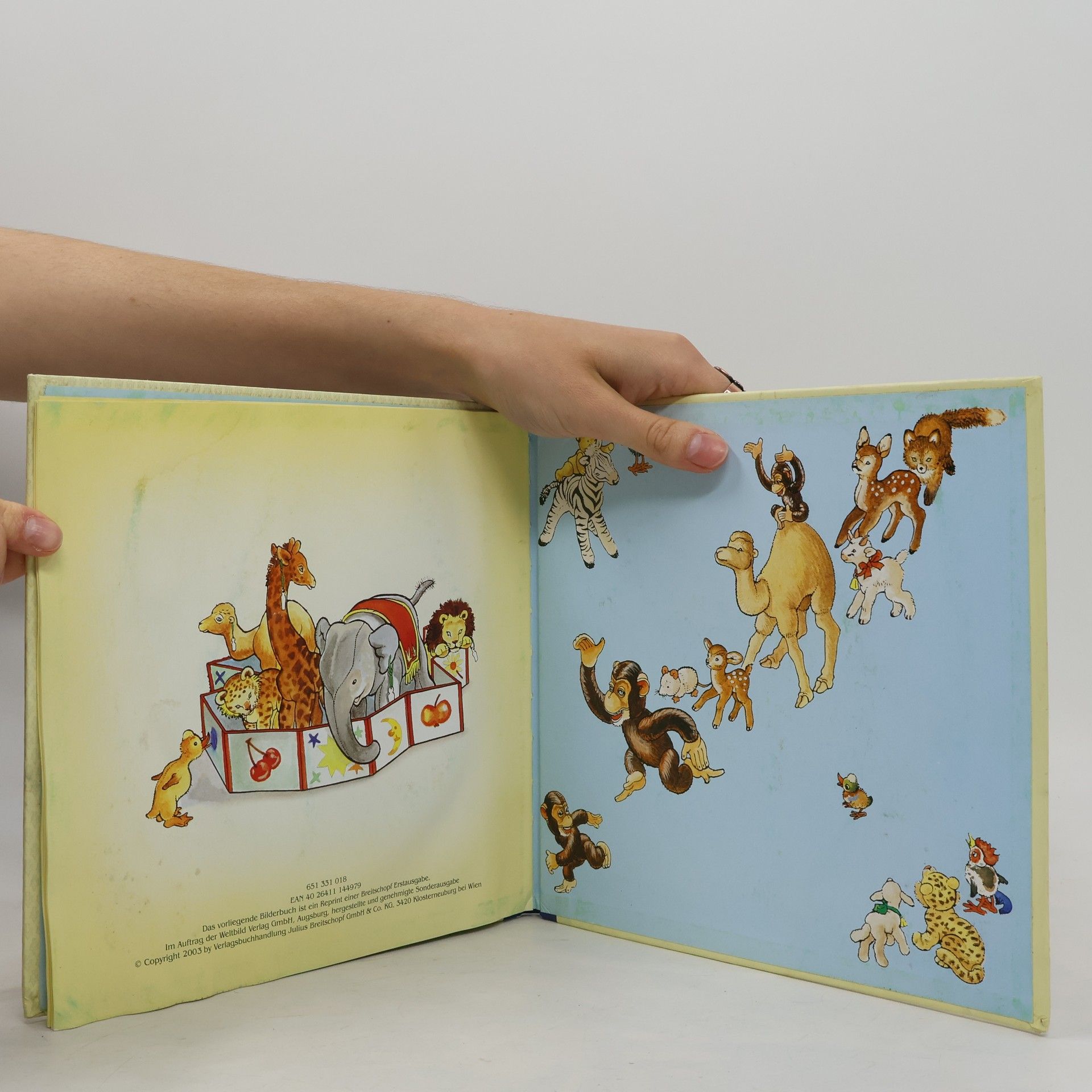 Various authors Das verschwundene Affenkind