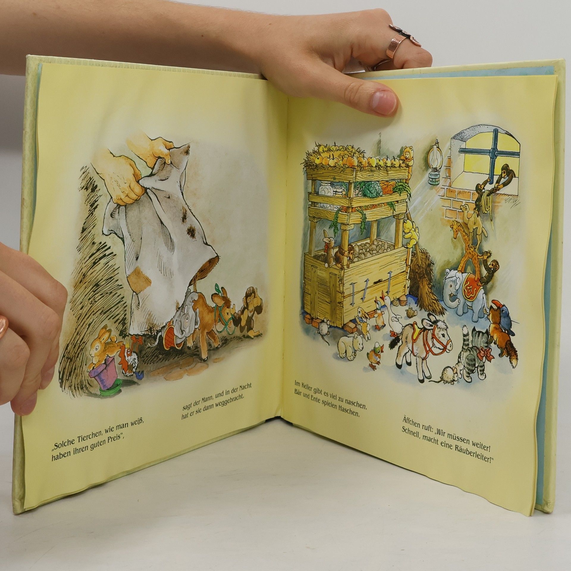 Various authors Das verschwundene Affenkind