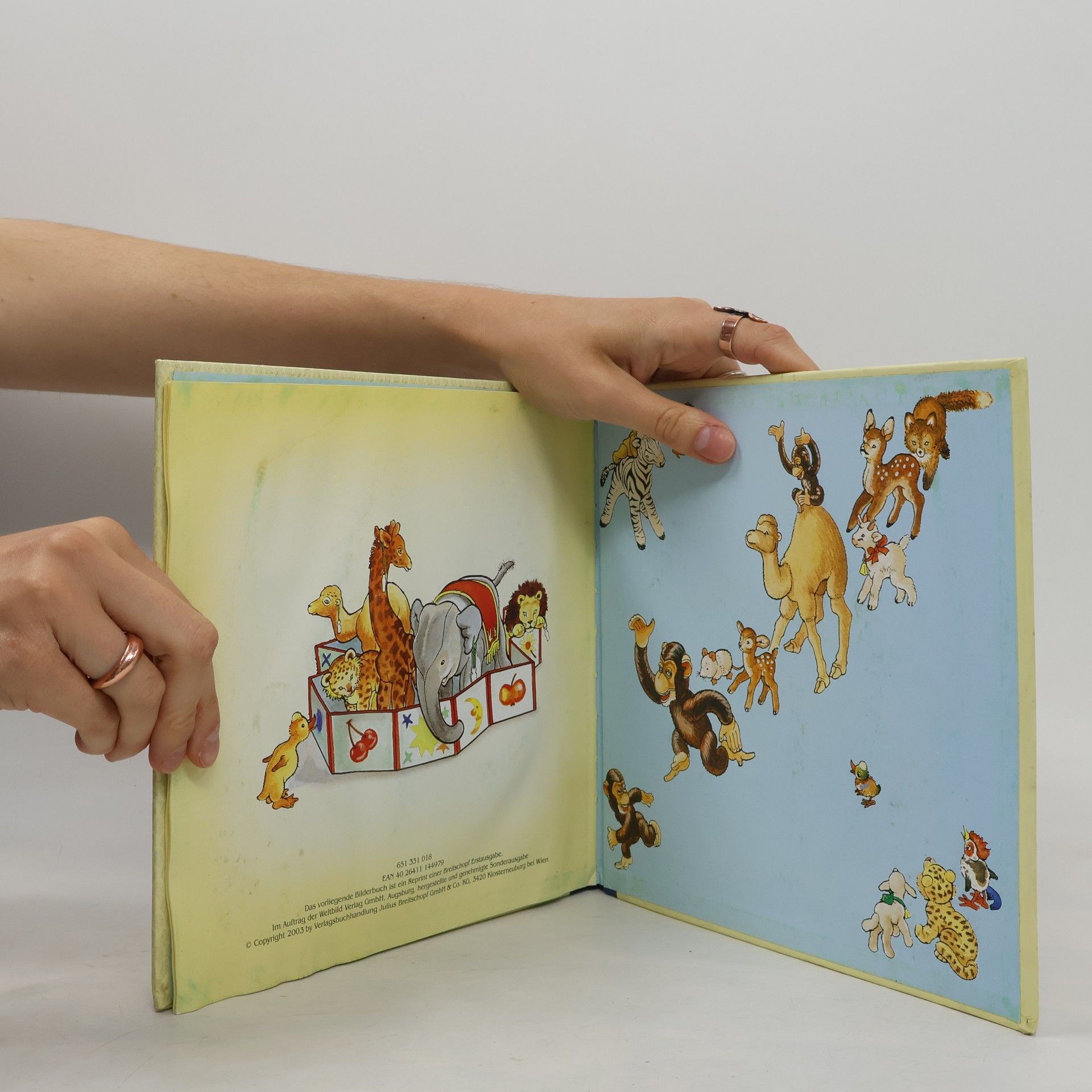 Various authors Das verschwundene Affenkind