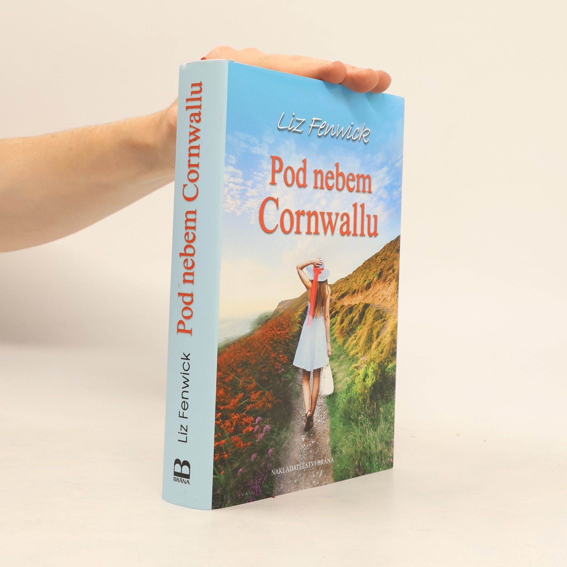 Liz Fenwick Pod nebem Cornwallu