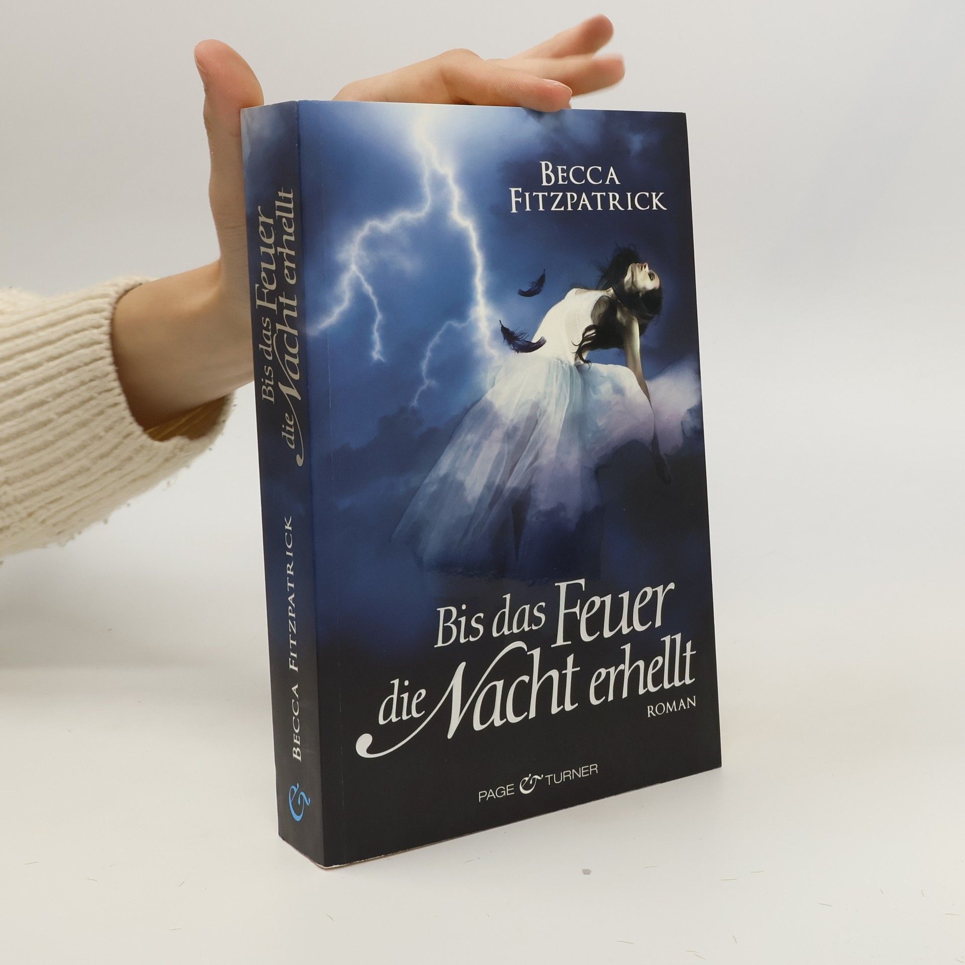 Becca Fitzpatrick Bis das Feuer die Nacht erhellt