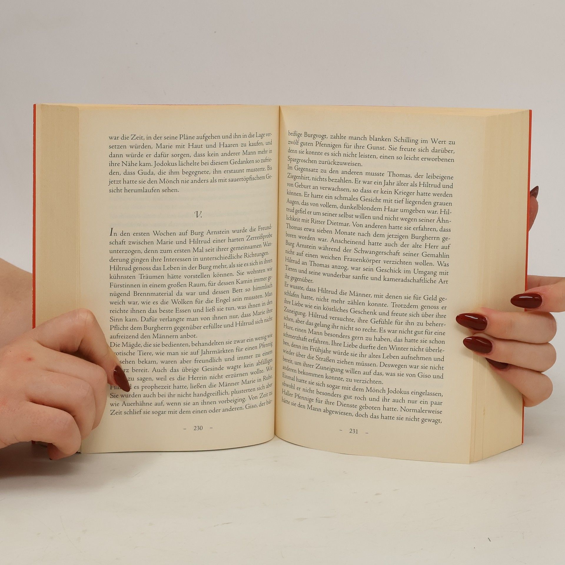 Iny Lorentz Die Wanderhure