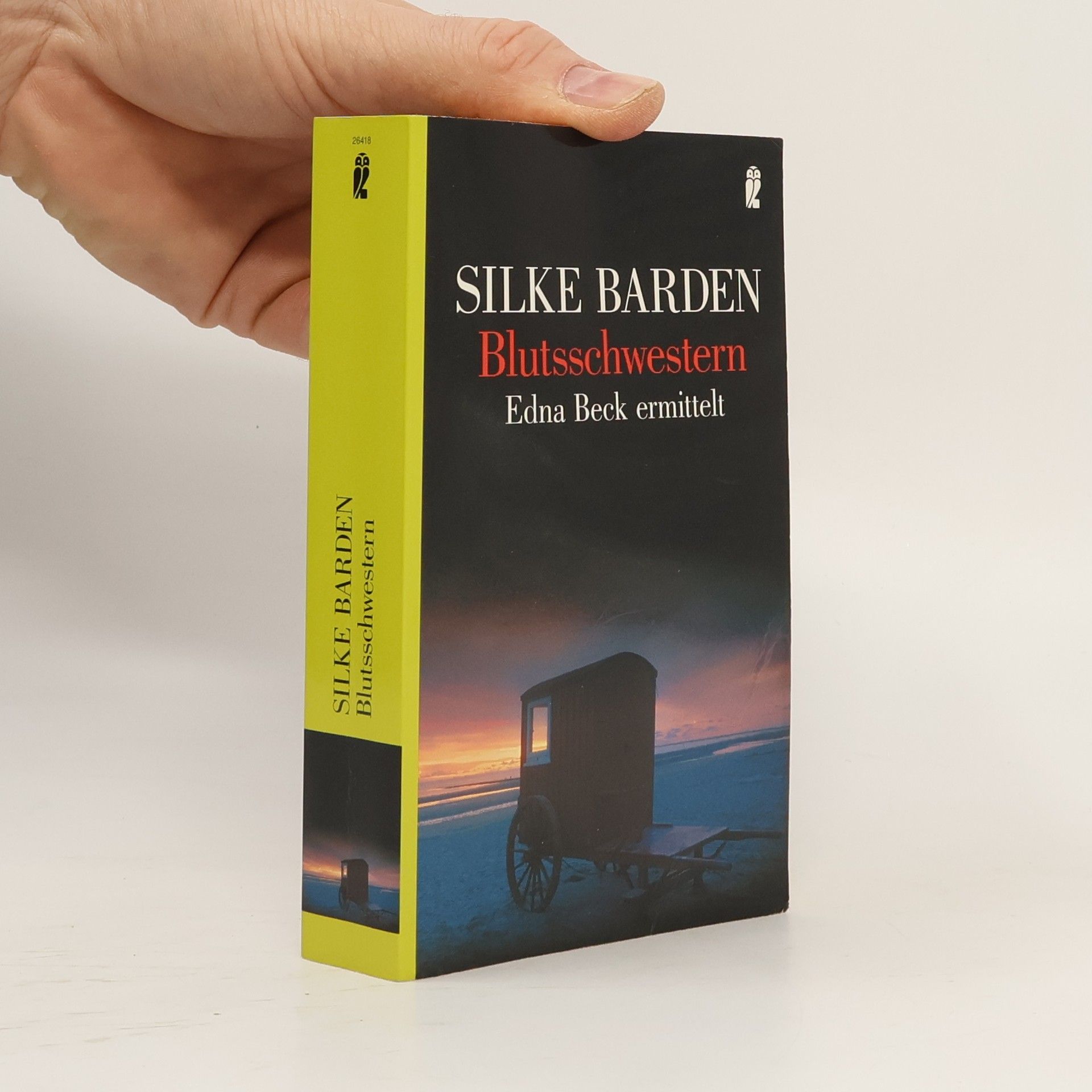 Silke Barden Blutsschwestern. Edna Beck ermittelt