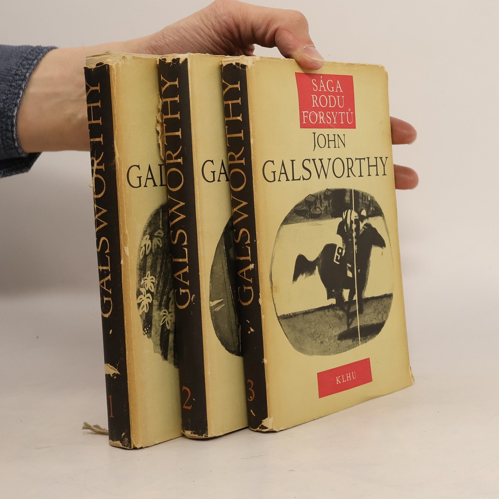 John Galsworthy Sága rodu Forsytů