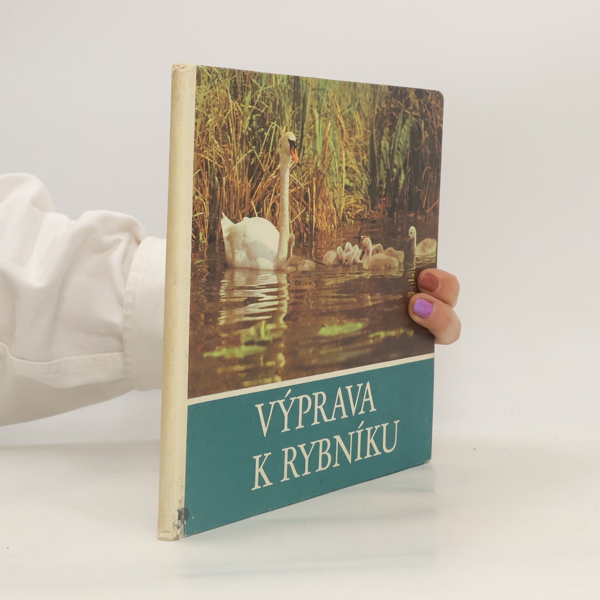 Výprava k rybníku