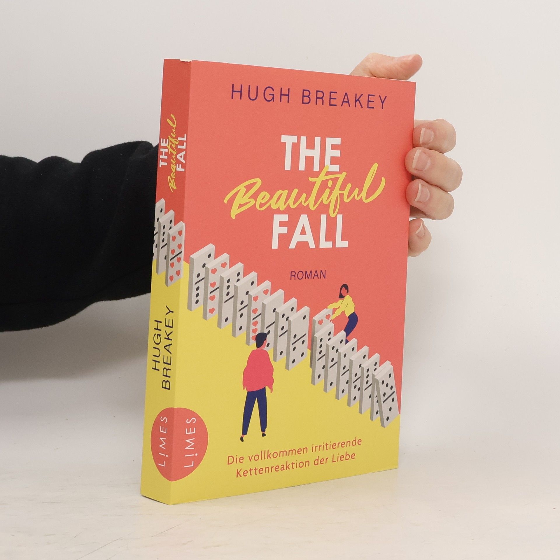 Hugh Breakey The Beautiful Fall - Die vollkommen irritierende Kettenreaktion der Liebe