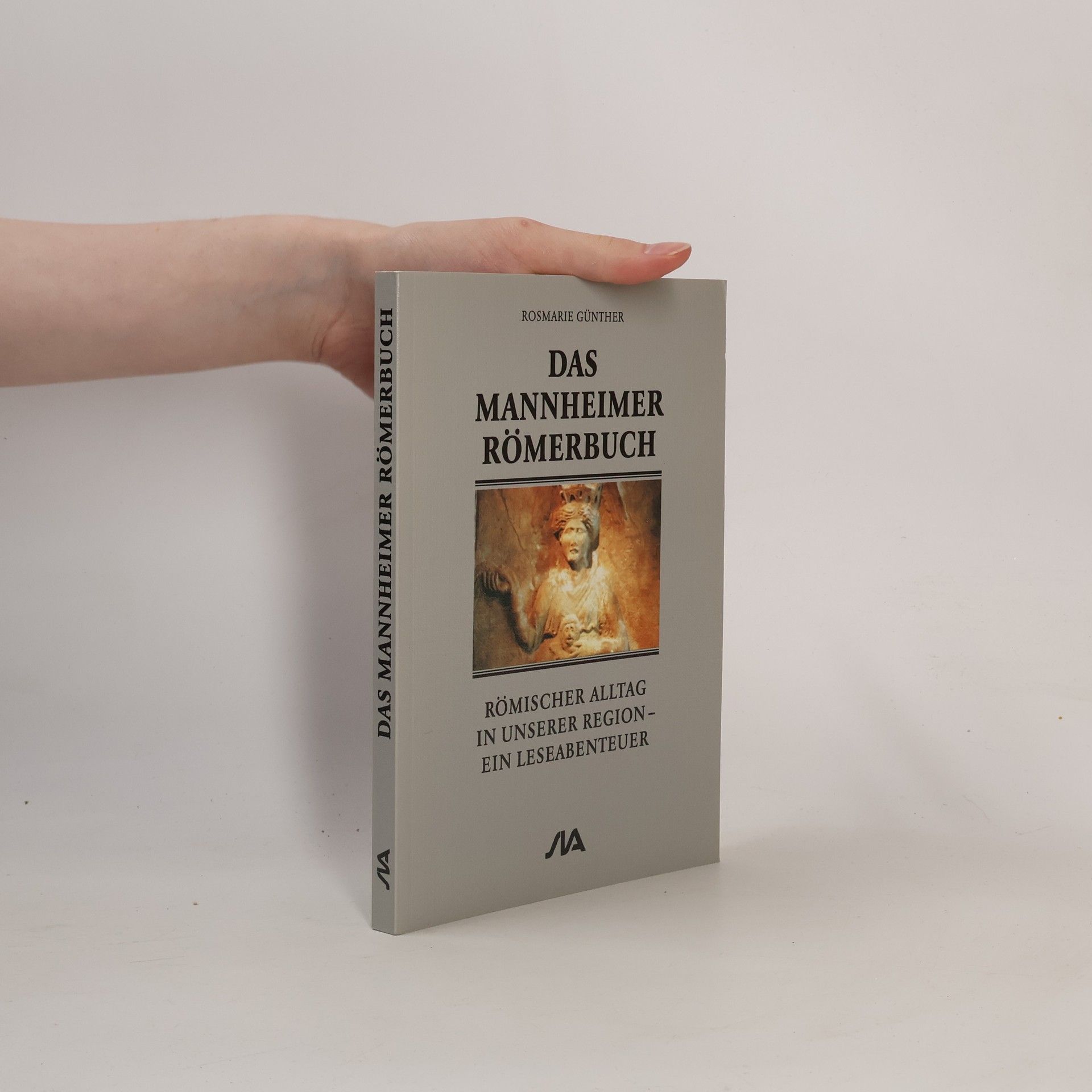 Das Mannheimer Römerbuch