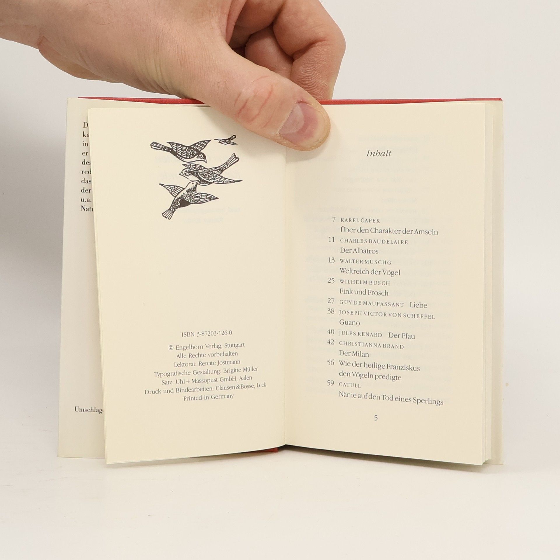 Rainer Köthe Kleine Geschichten für Vogelfreunde
