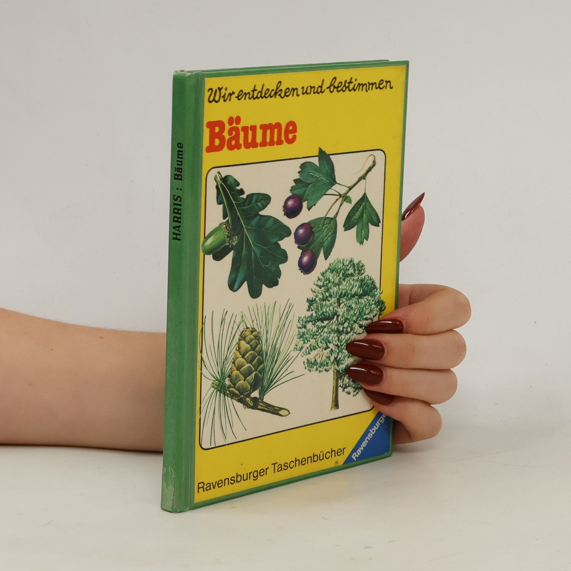 Esmond Harris Wir entdecken und bestimmen. Bäume