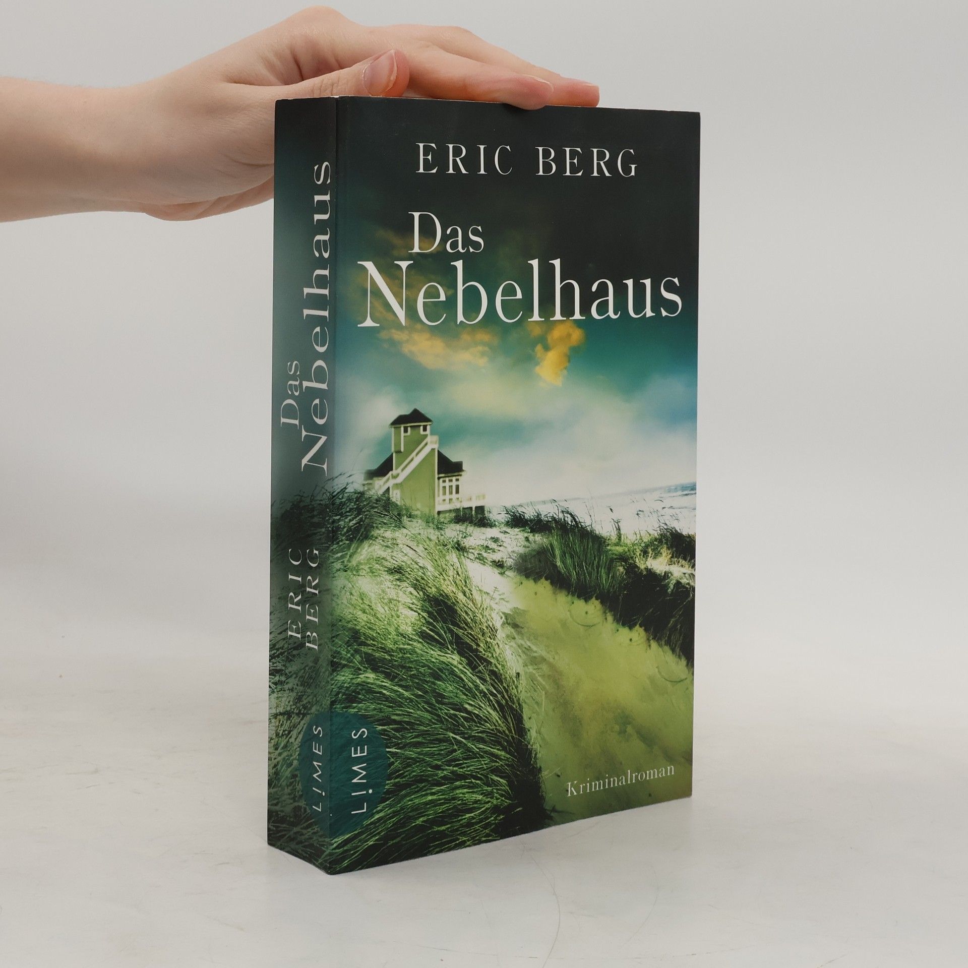 Eric Berg Das Nebelhaus