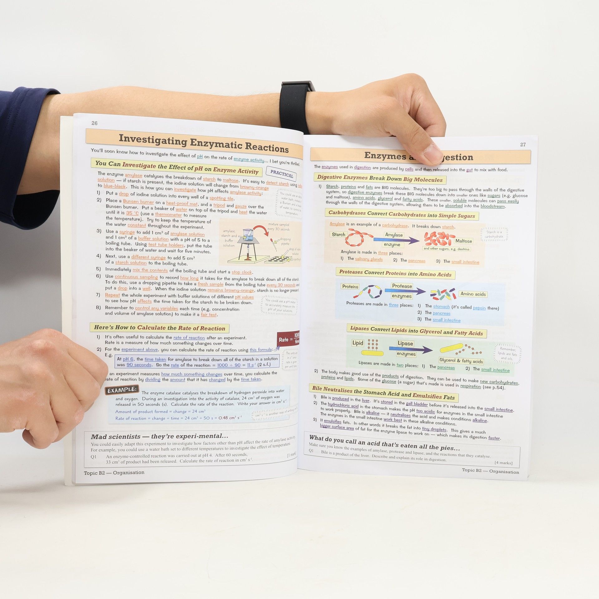 CGP Books New Grade 9-1 GCSE Combined Science: AQA Revision Guide with Online Edition - Higher
