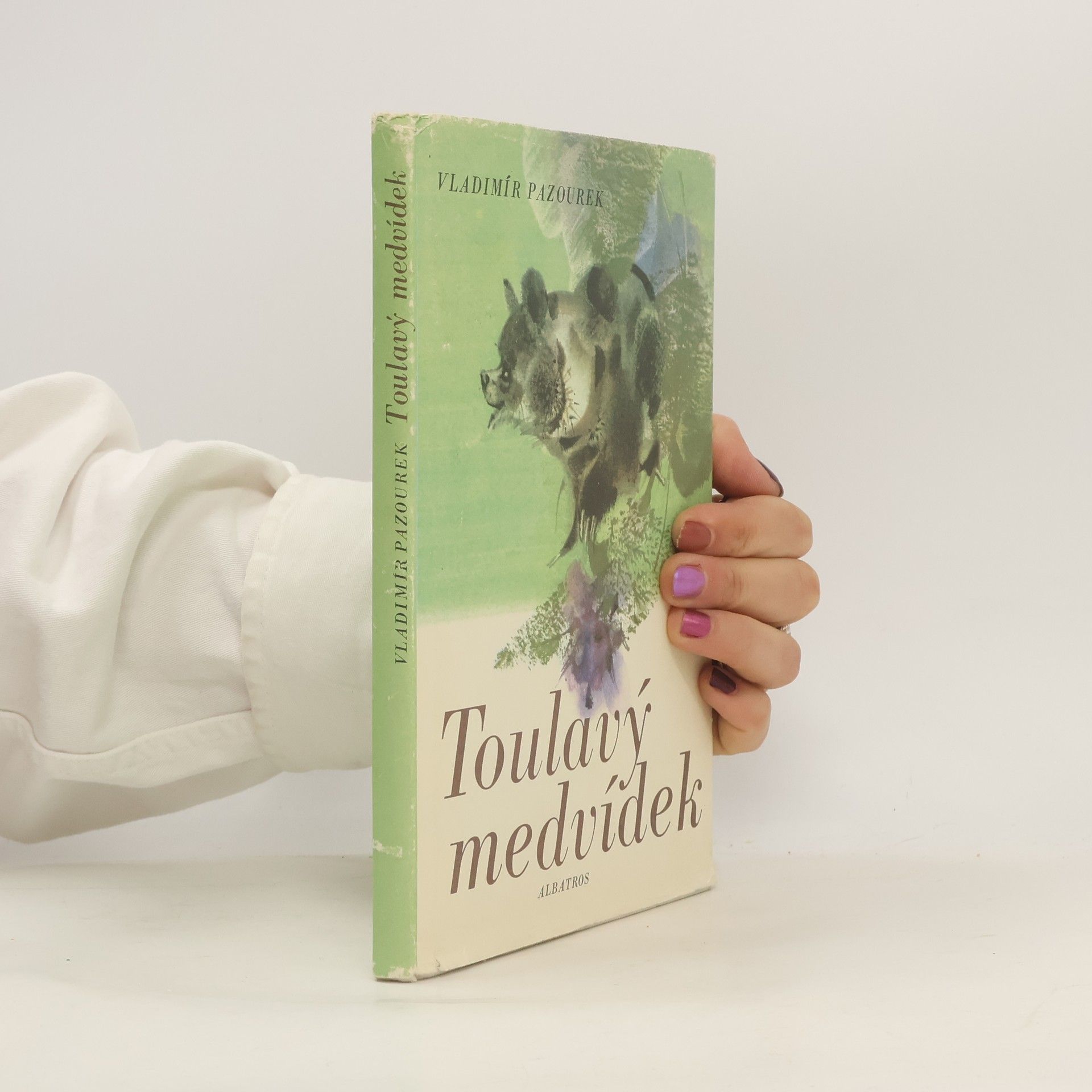 Vladimír Pazourek Toulavý medvídek