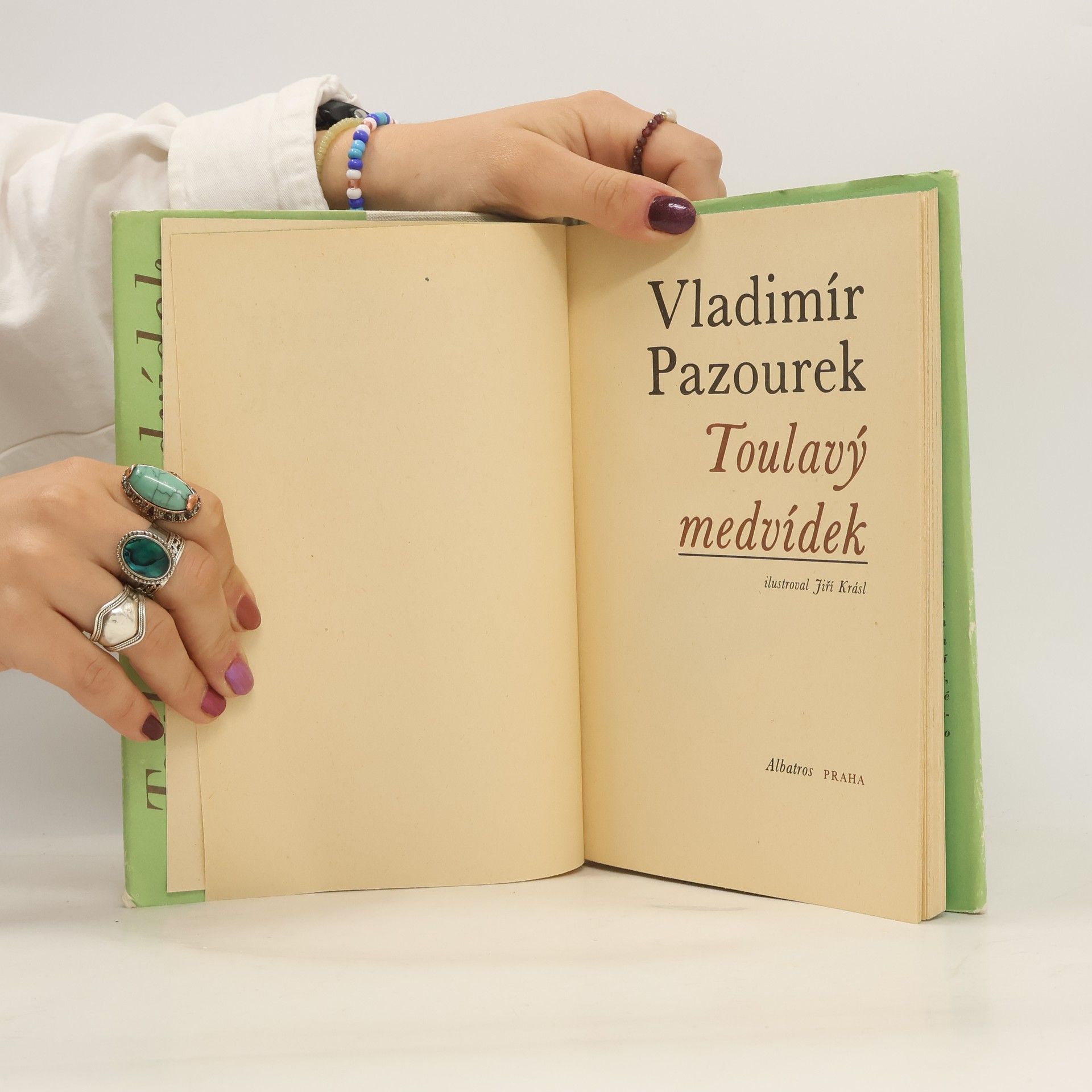 Vladimír Pazourek Toulavý medvídek