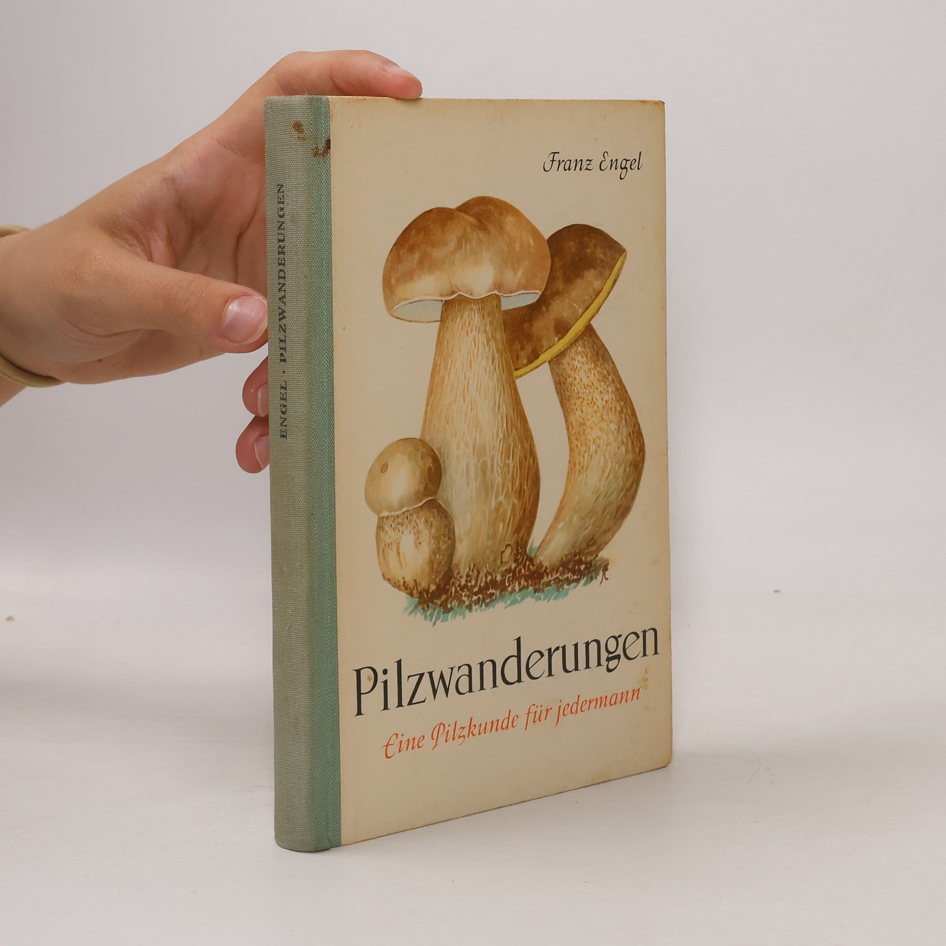 Franz Engel Pilzwanderungen