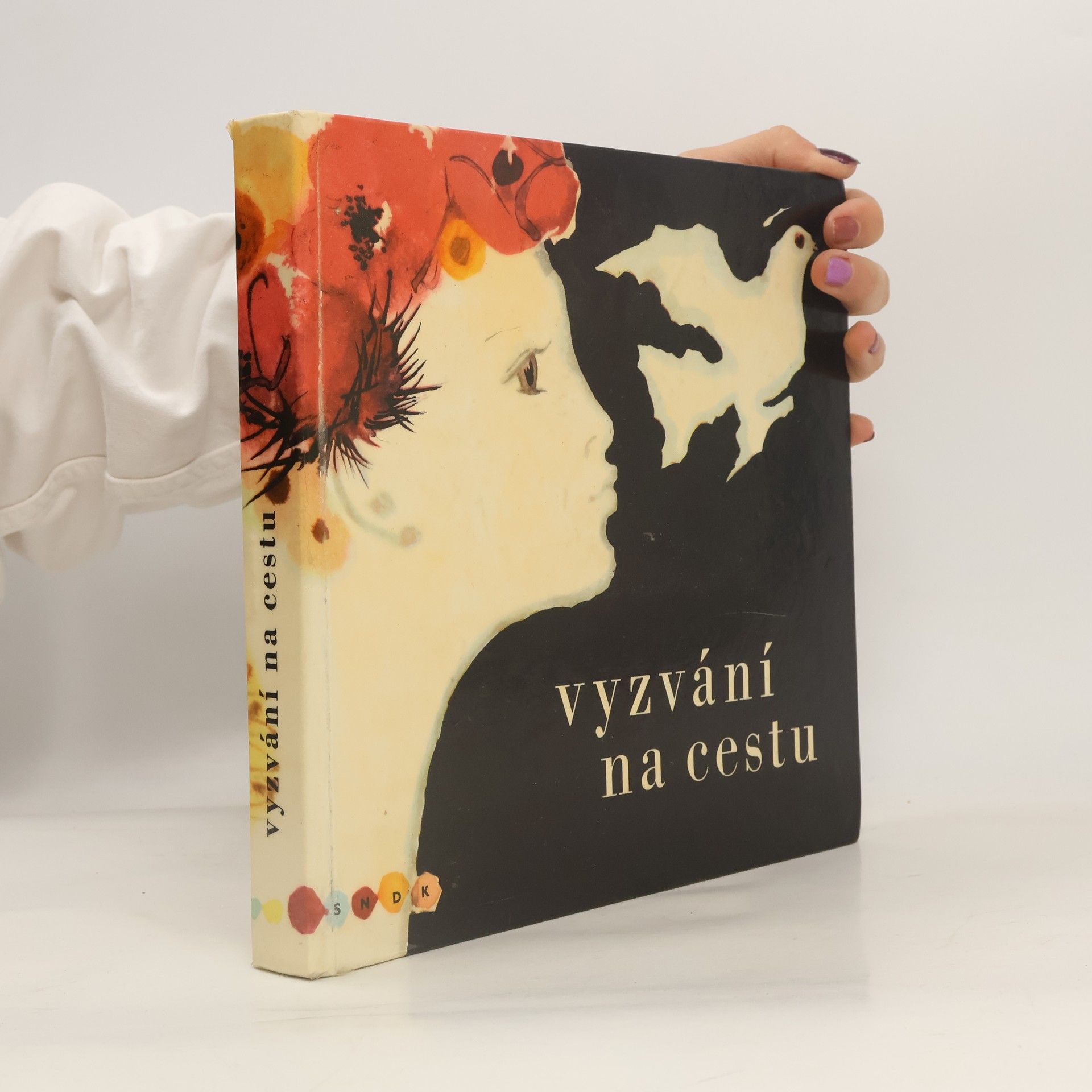 Vyzvání na cestu. Encyklopedie současné české poezie