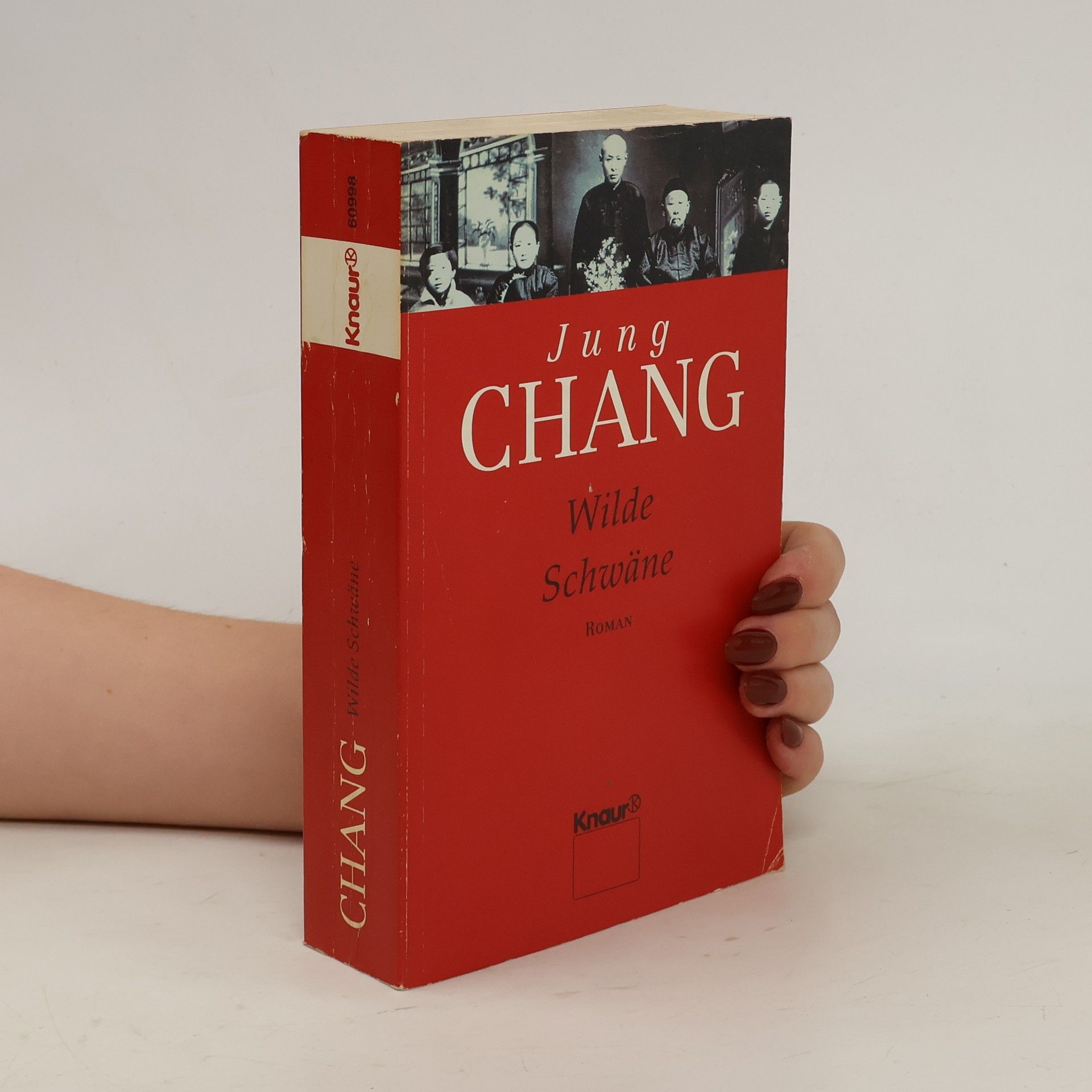 Yong Chang Wilde Schwäne