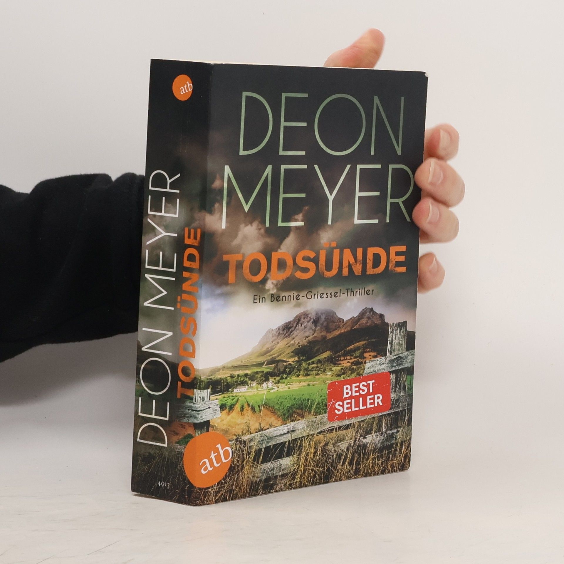 Deon Meyer Todsünde