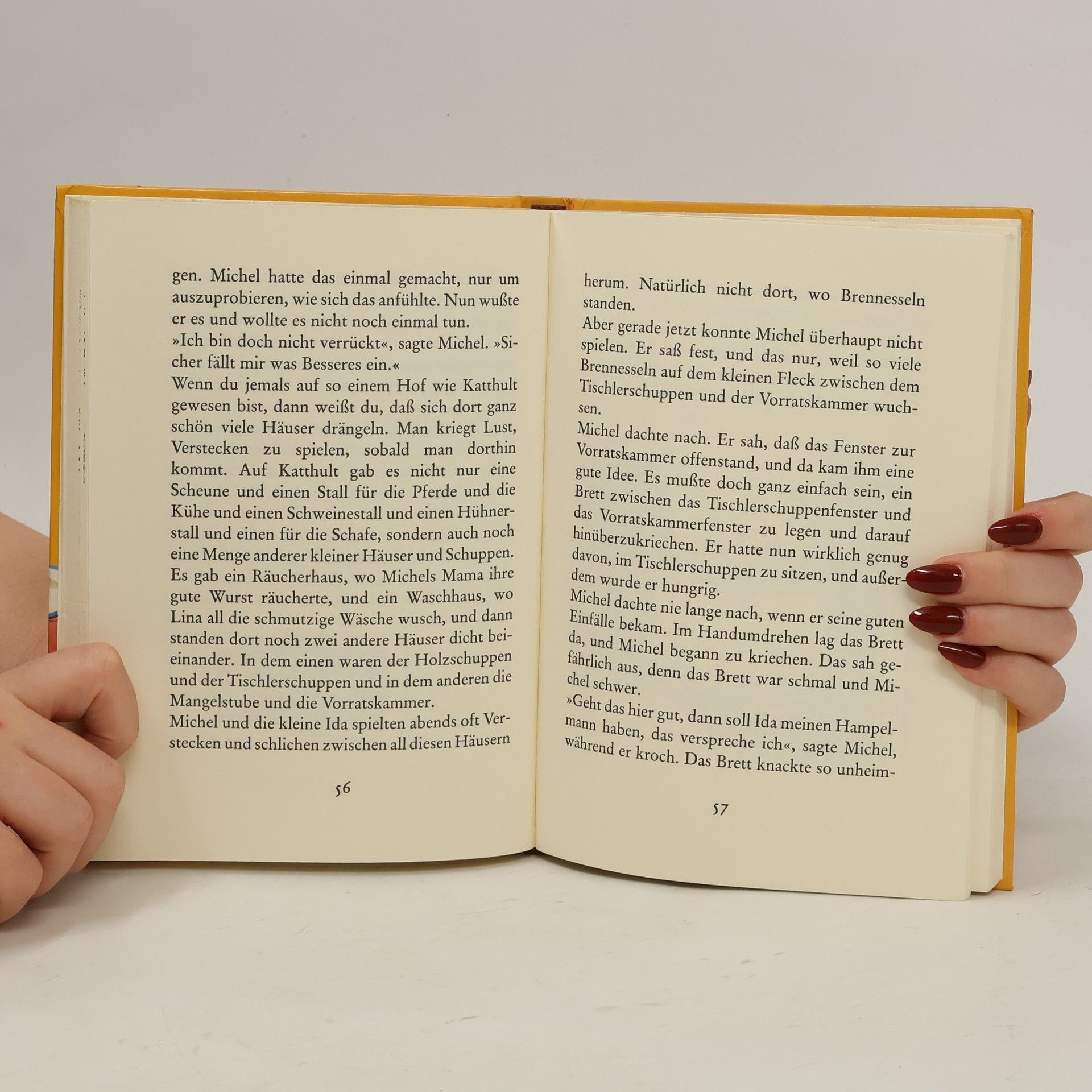 Astrid Lindgren Michel in der Suppenschüssel