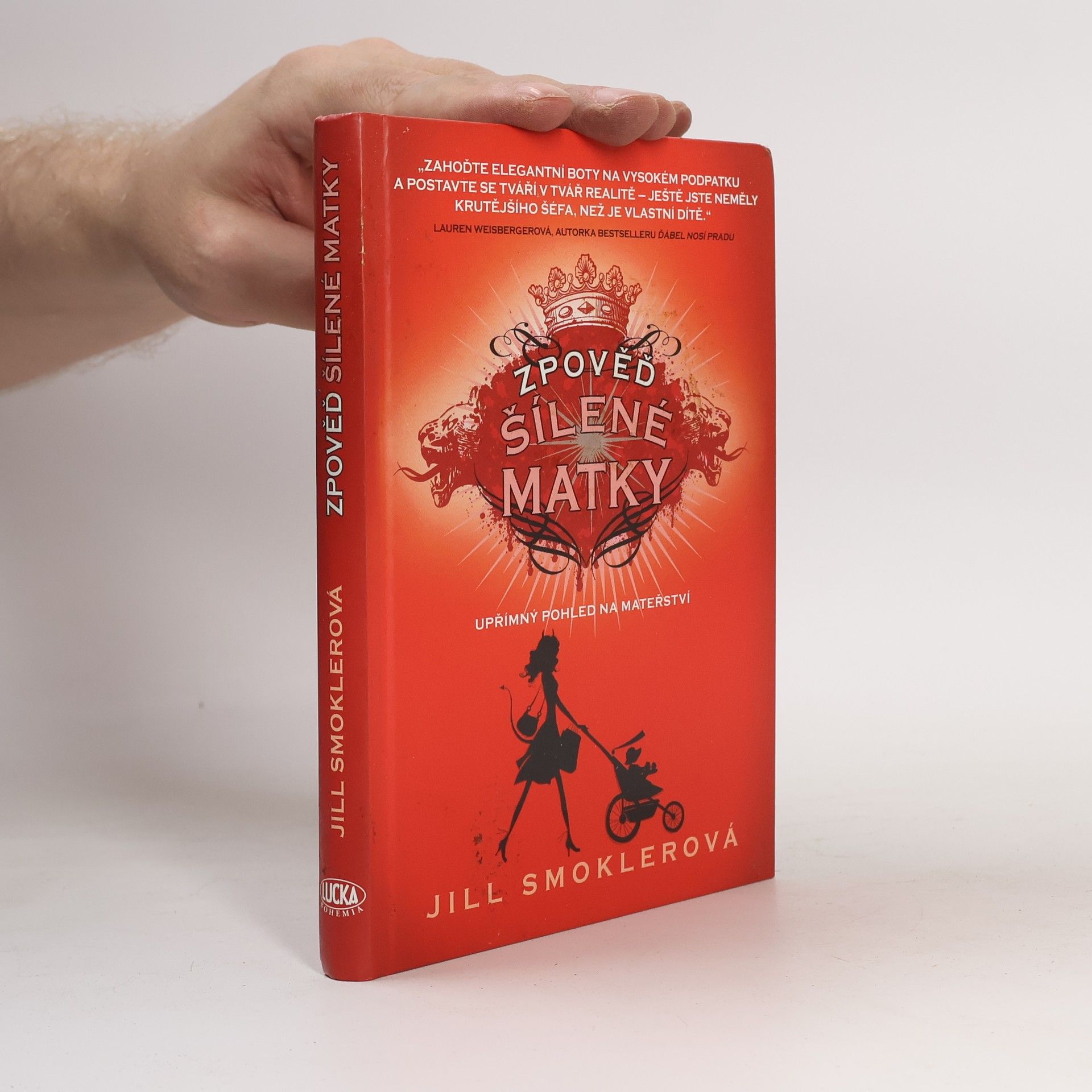 Jill Smokler Zpověď šílené matky. Upřímný pohled na mateřství