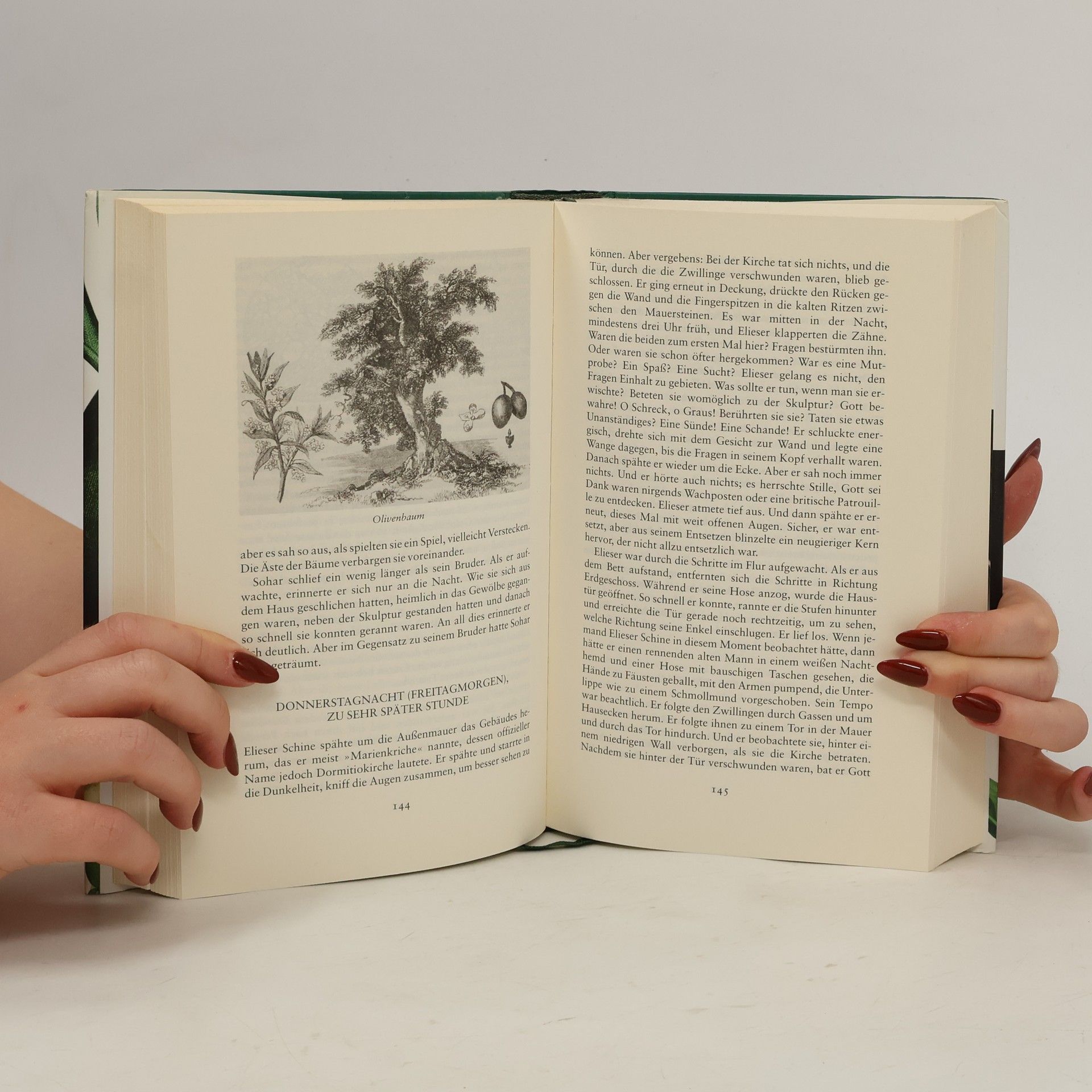 Nomi Eve Das Buch der Liebe