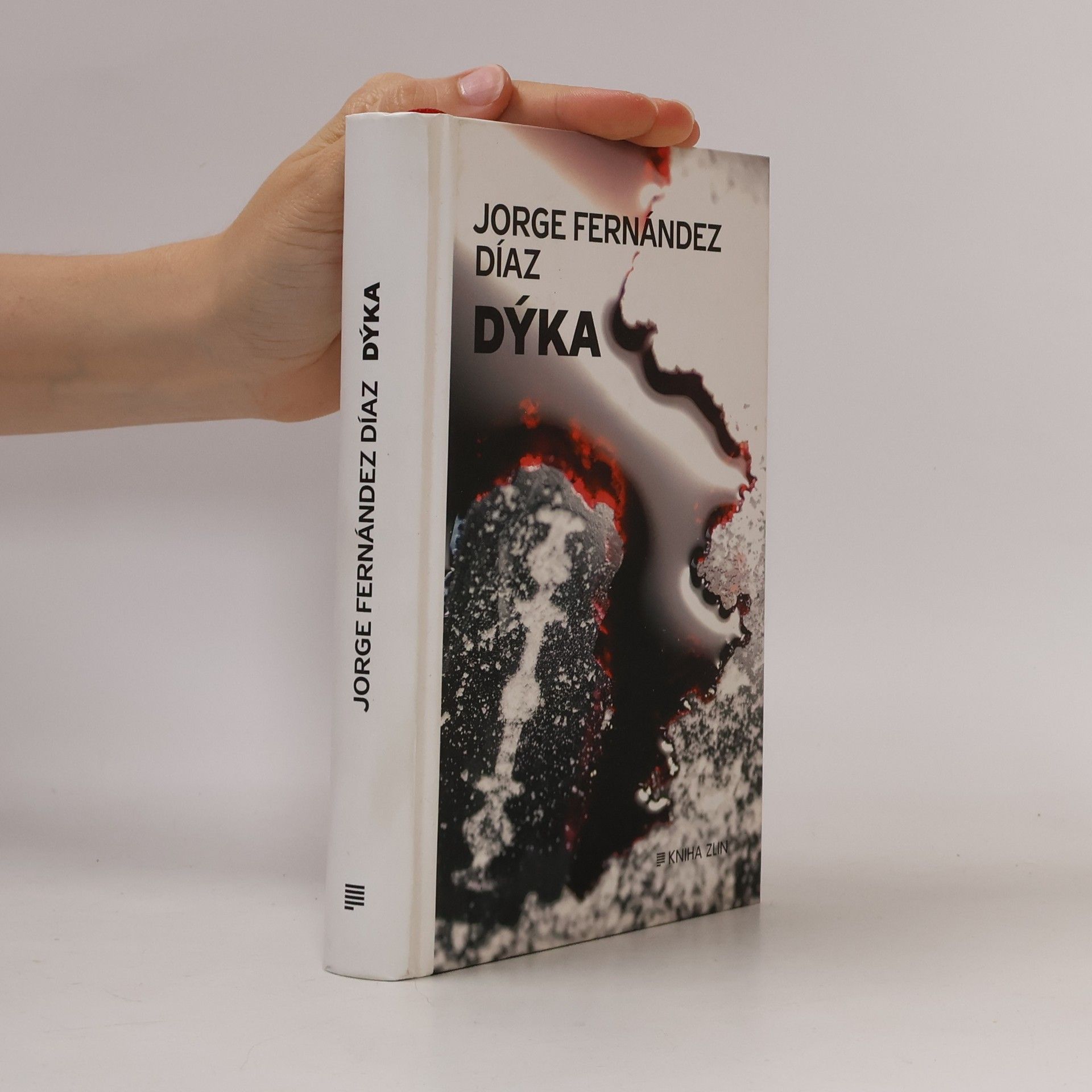 Jorge Fernández Díaz Dýka