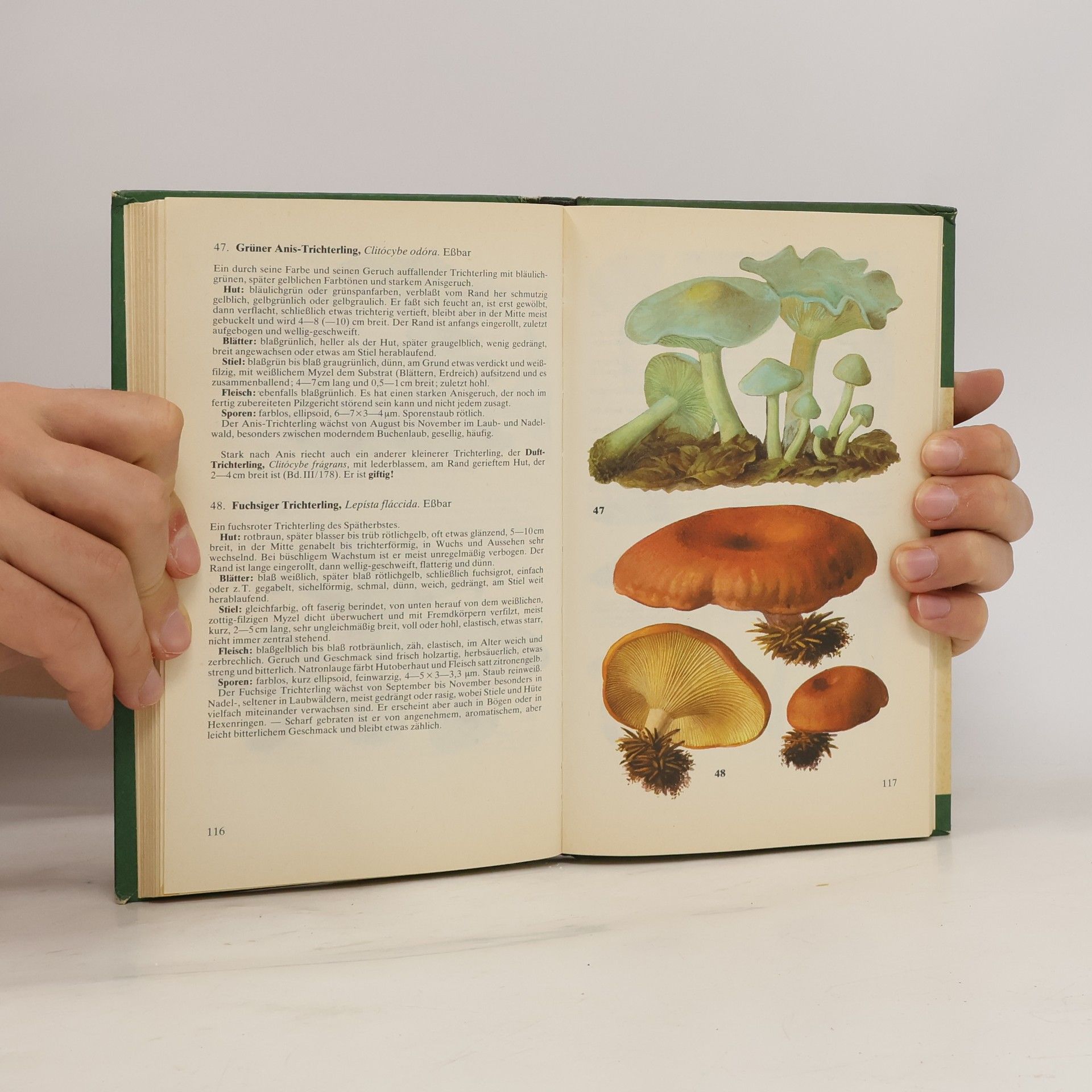 Hanns Kreisel Taschenbuch für Pilzfreunde