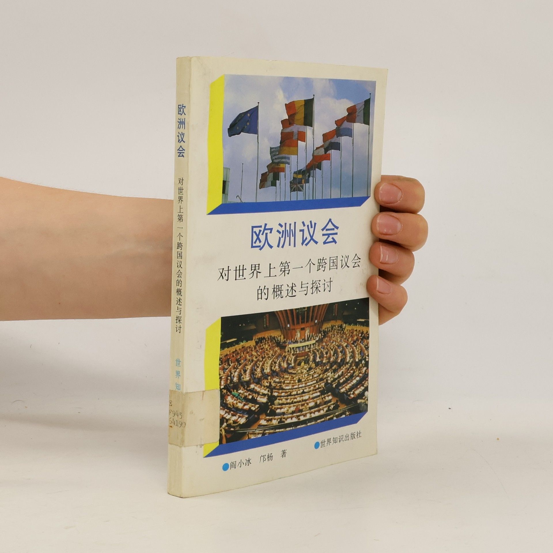 邝杨 欧洲议会