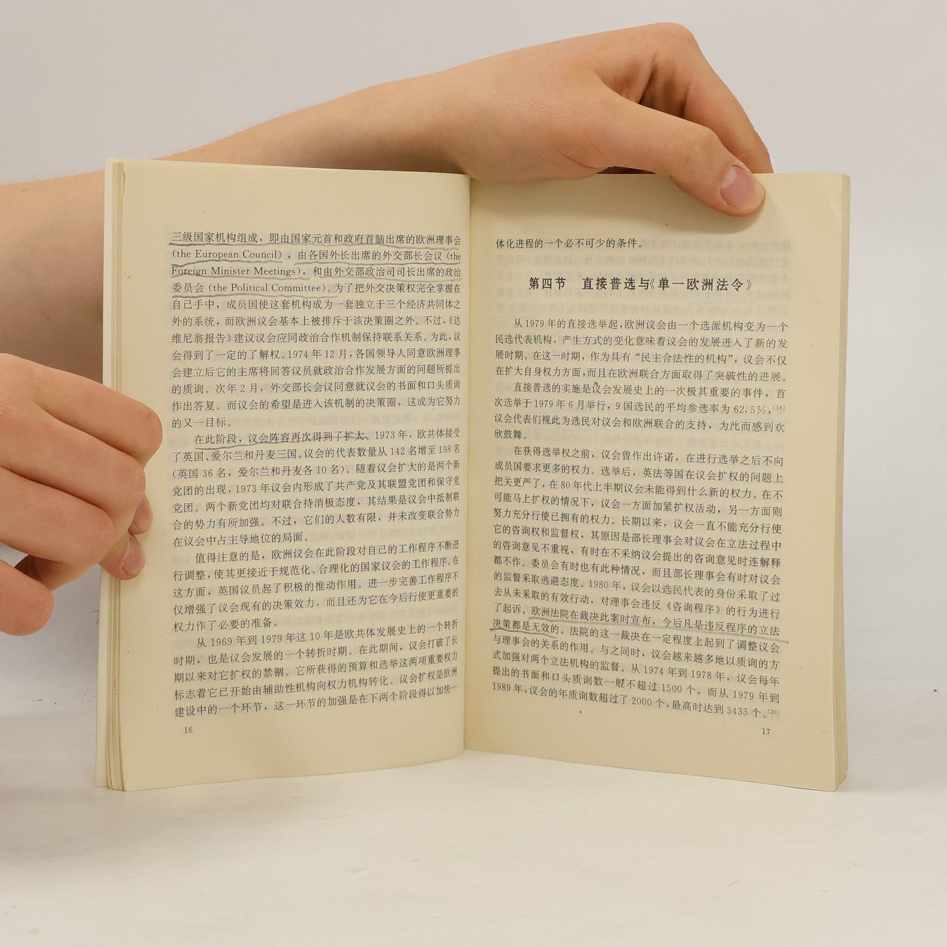 阎小冰 欧洲议会