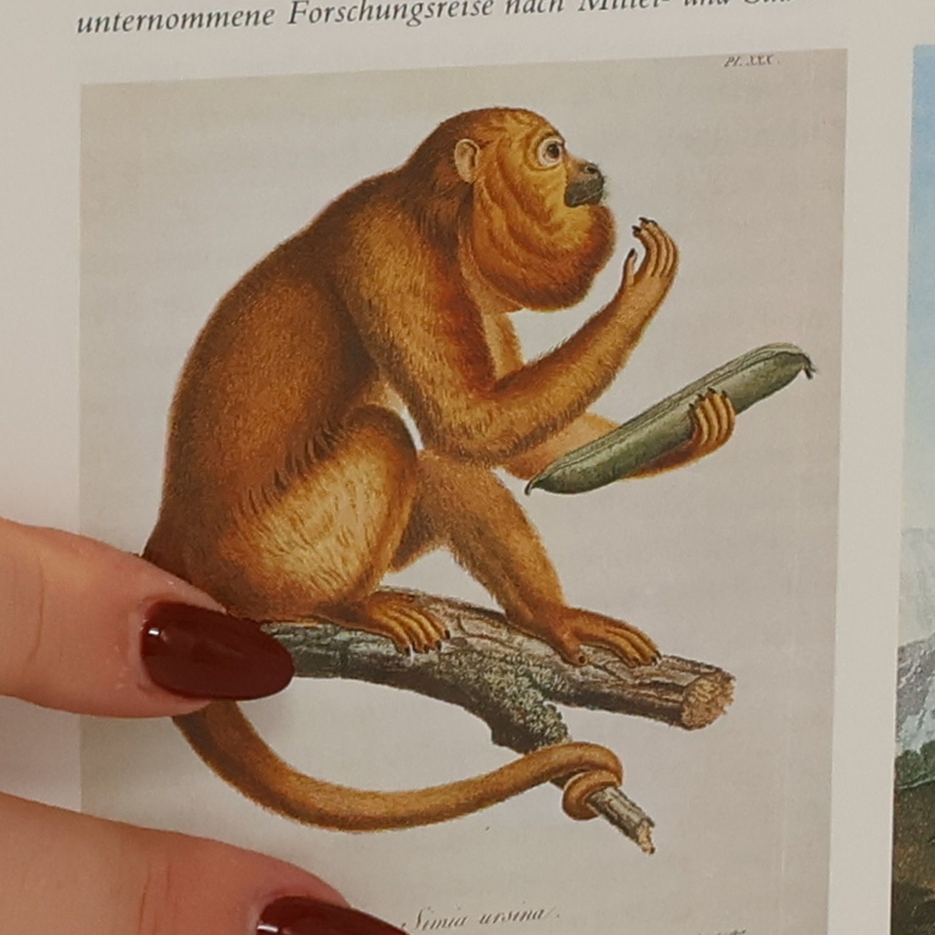 Autorenkollektiv Belser Stilgeschichte 3