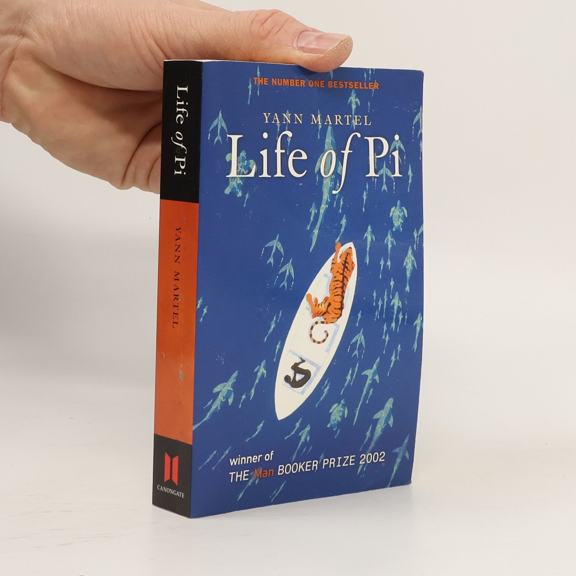 Life of Pi