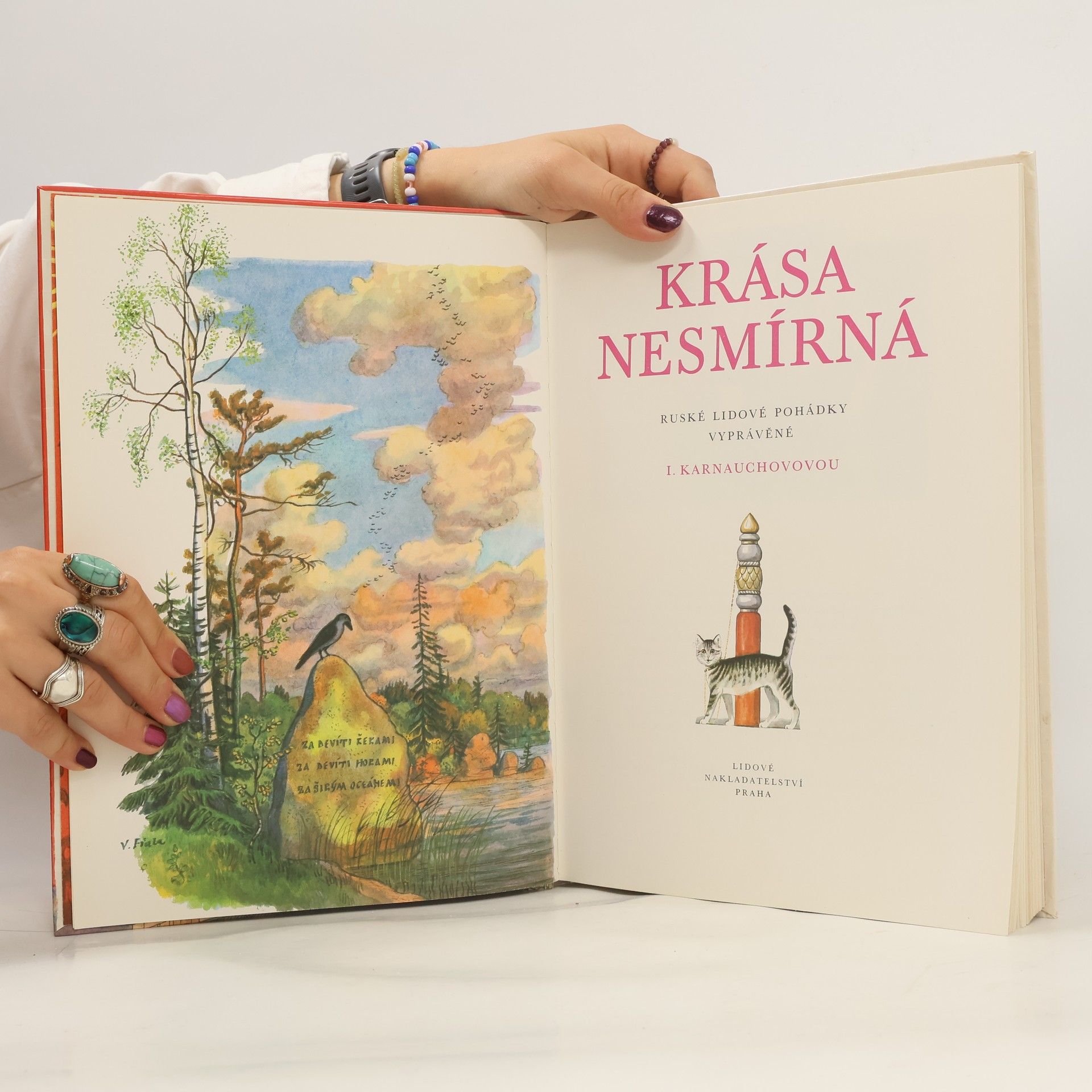 Irina Karnauchovová Krása nesmírná
