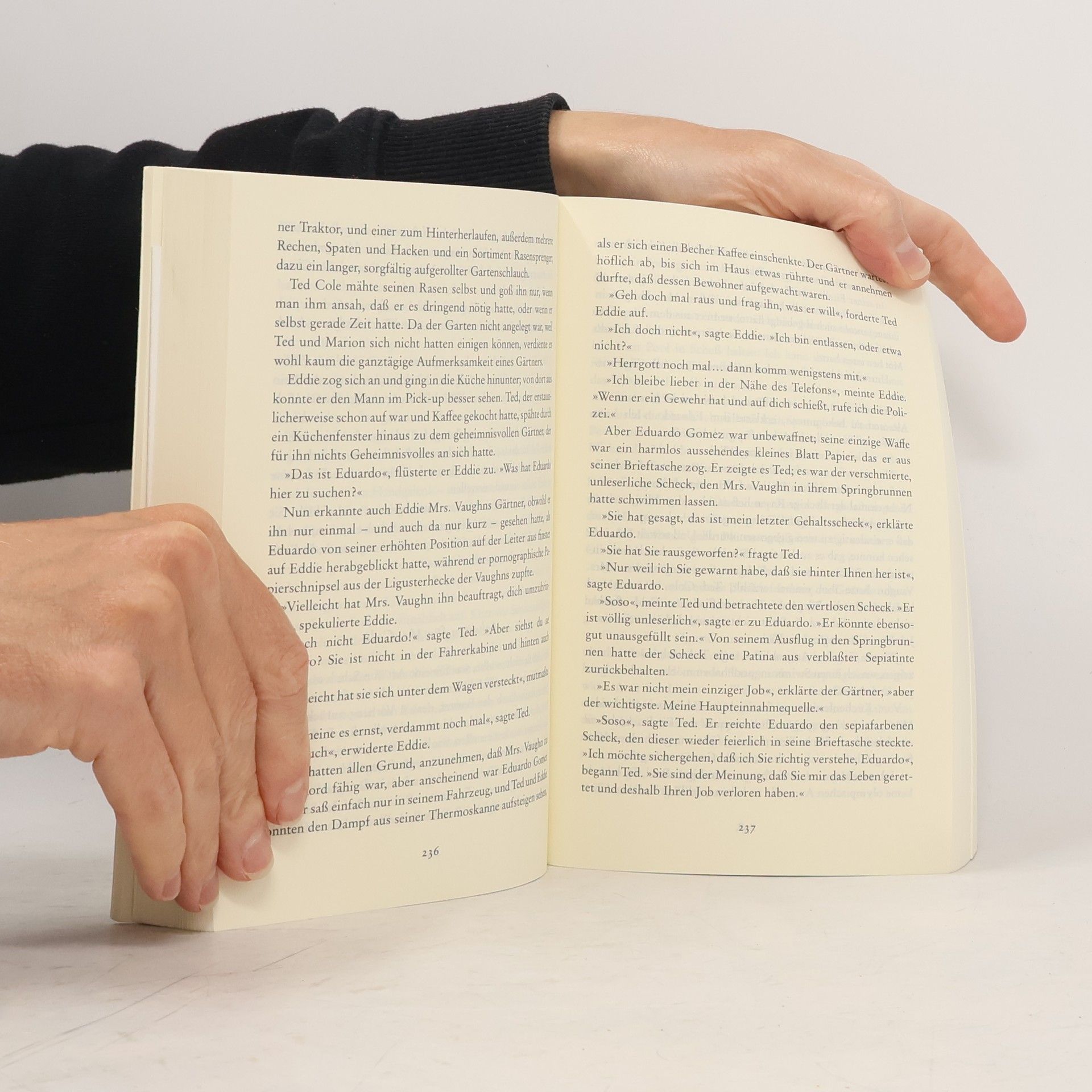 John Irving Witwe für ein Jahr