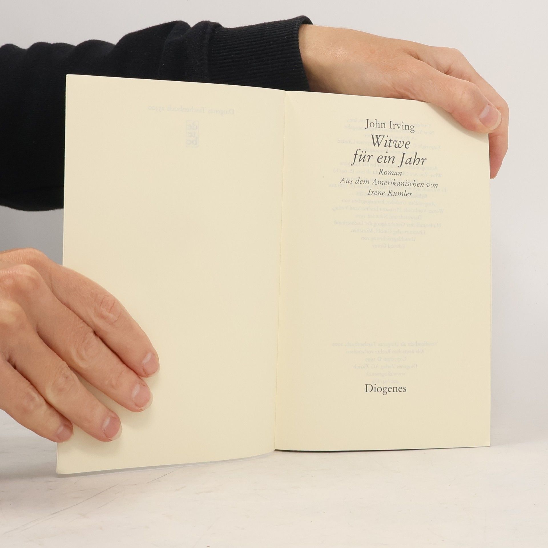 John Irving Witwe für ein Jahr