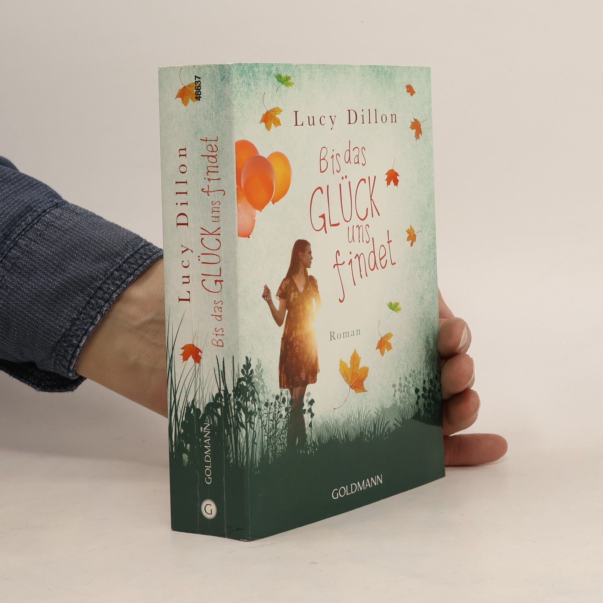 Lucy Dillon Bis das Glück uns findet