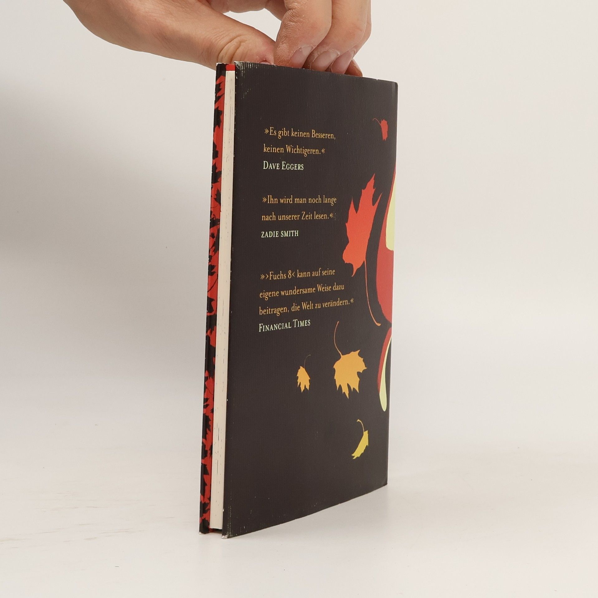George Saunders Fuchs 8